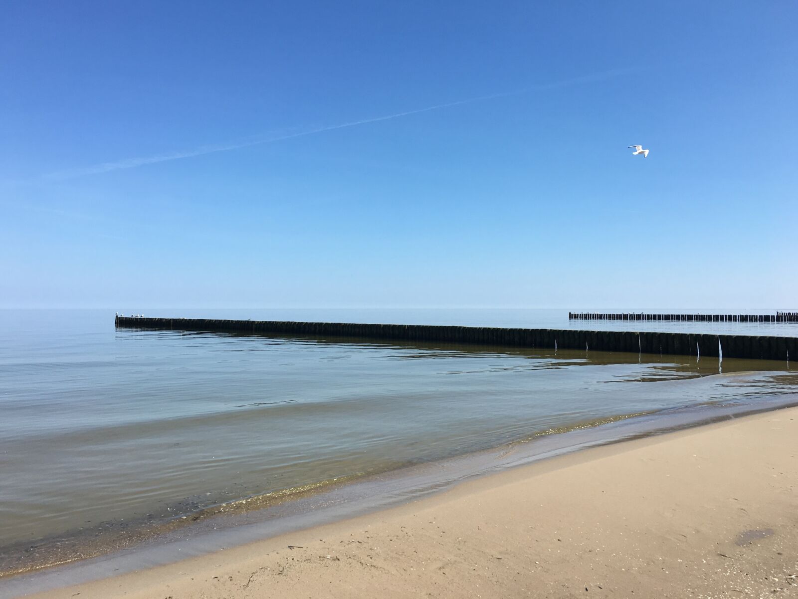 iPhone 6s back camera 4.15mm f/2.2 sample photo. Beach, baltic sea, sea photography