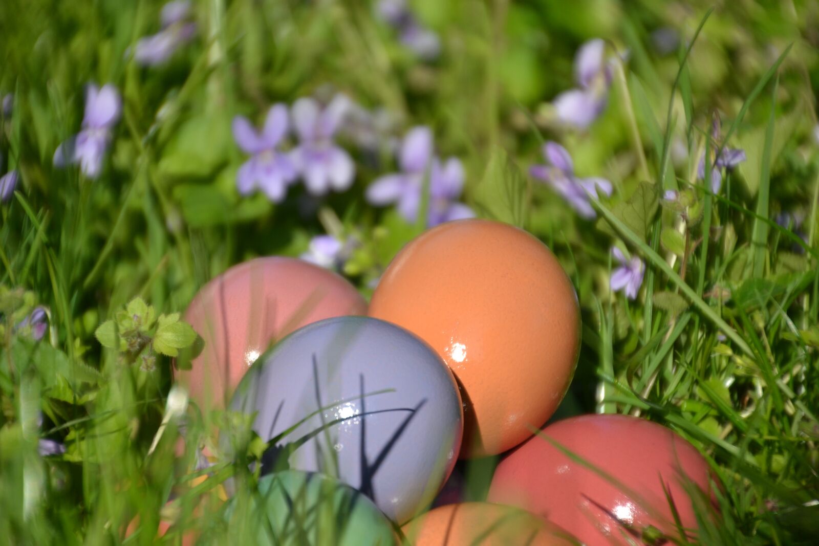 Nikon D3100 sample photo. Easter eggs, easter nest photography