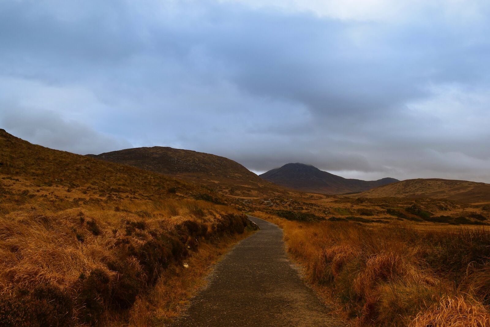 Nikon D5300 sample photo. Nature, national park, connemara photography