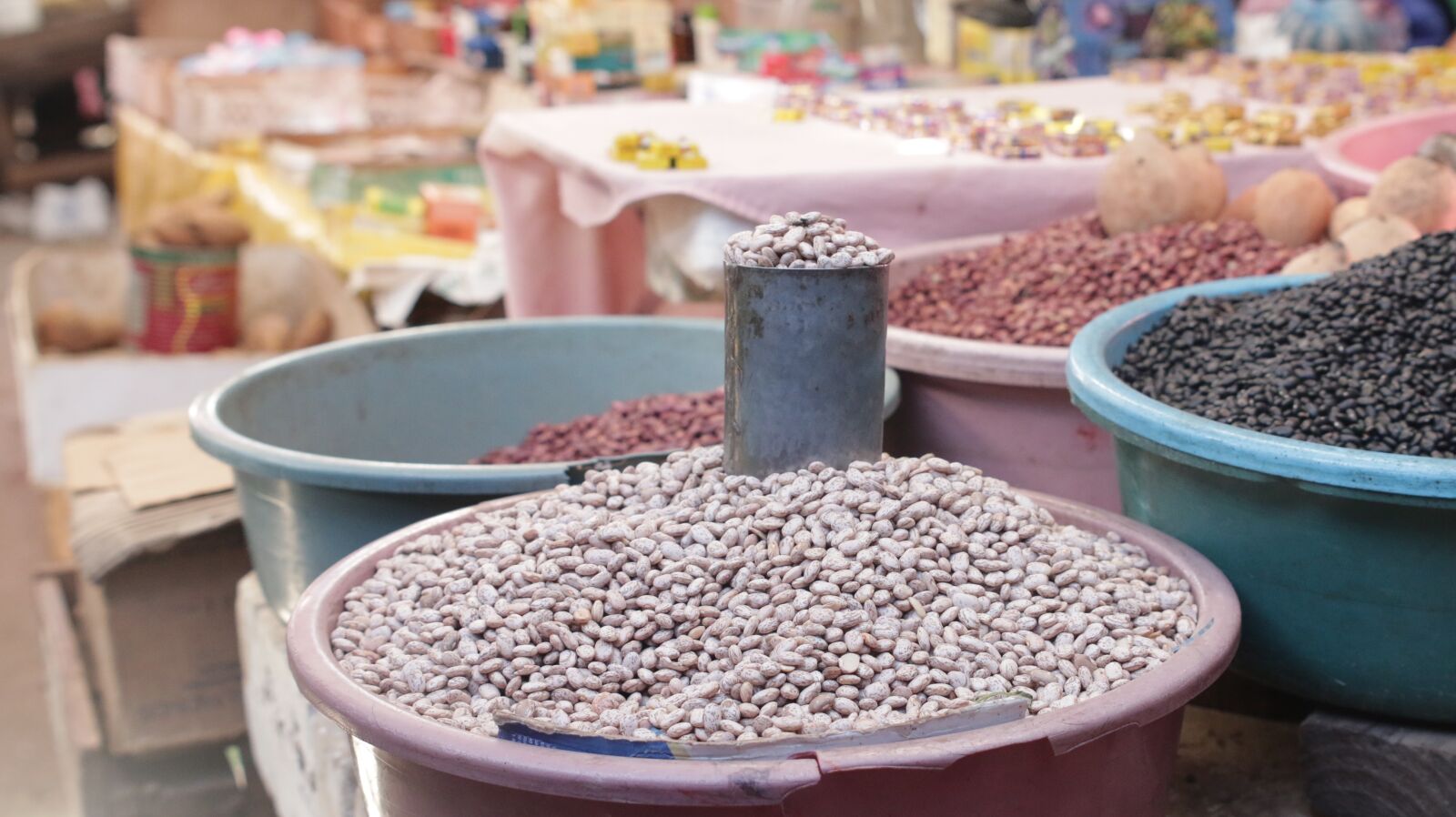 Canon EOS 70D sample photo. Guandules, avichuela, tubers photography
