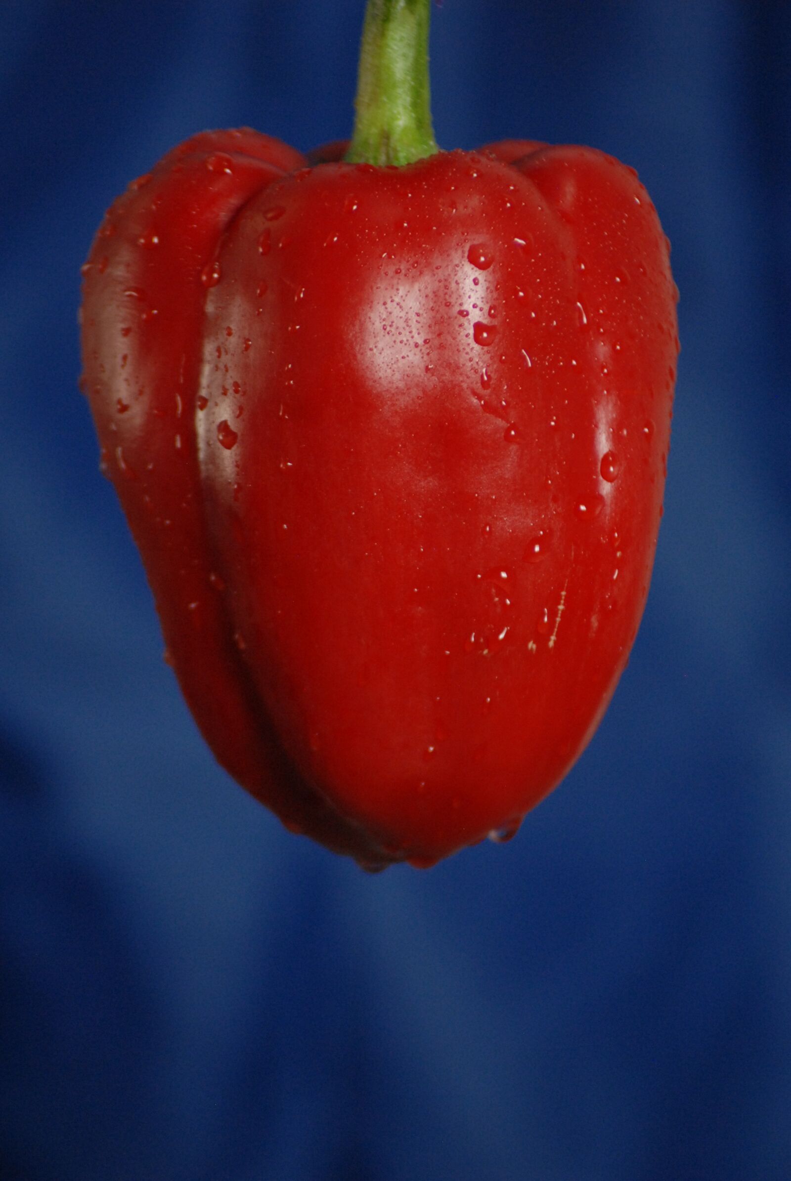 Nikon D200 sample photo. Bell pepper, fruit, vegetable photography