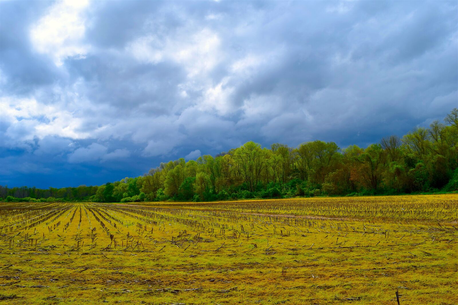 Nikon D3300 sample photo. Farm, sky, trees photography