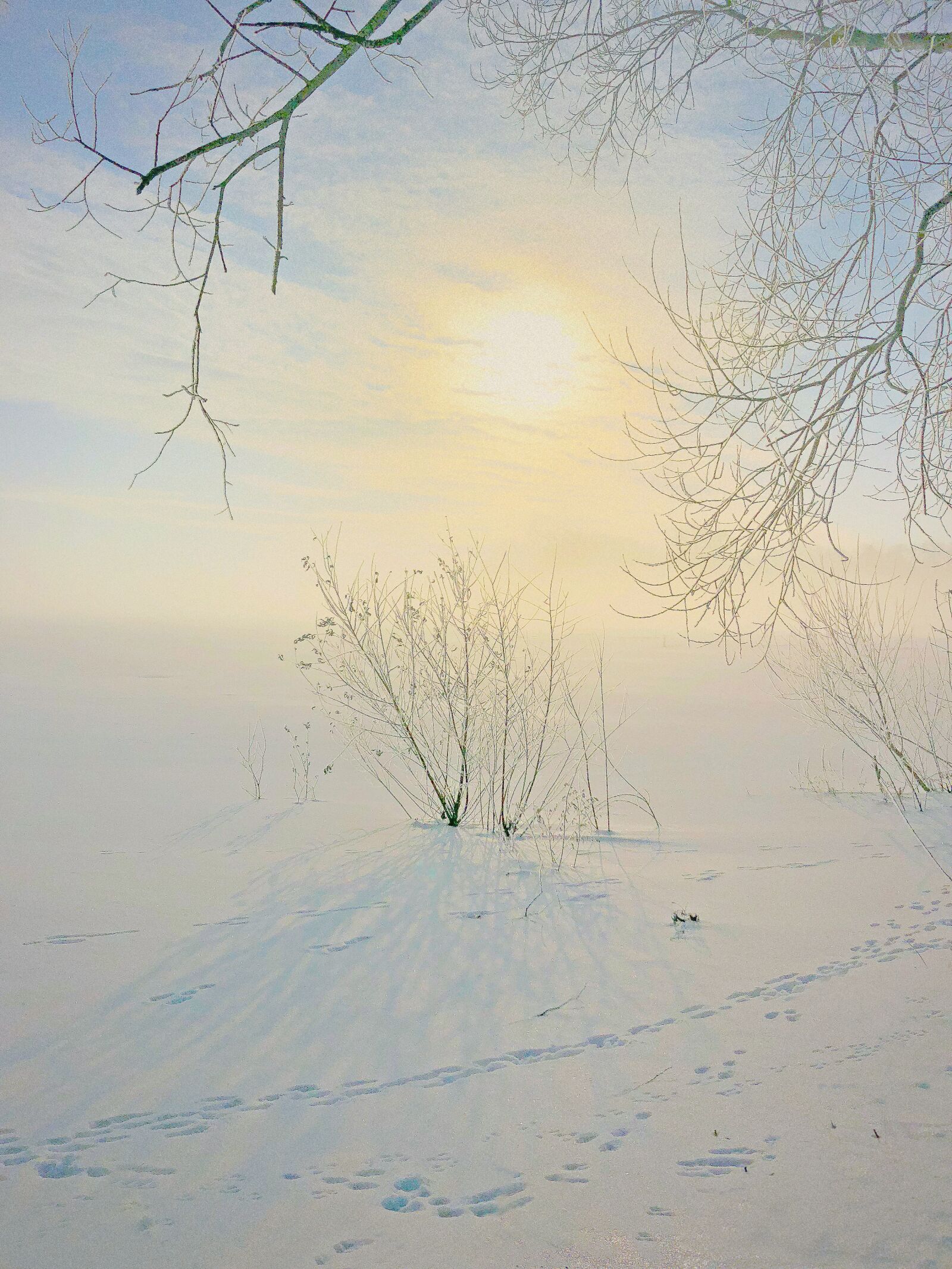 iPhone 8 Plus back dual camera 3.99mm f/1.8 sample photo. Winter, nature, landscape photography