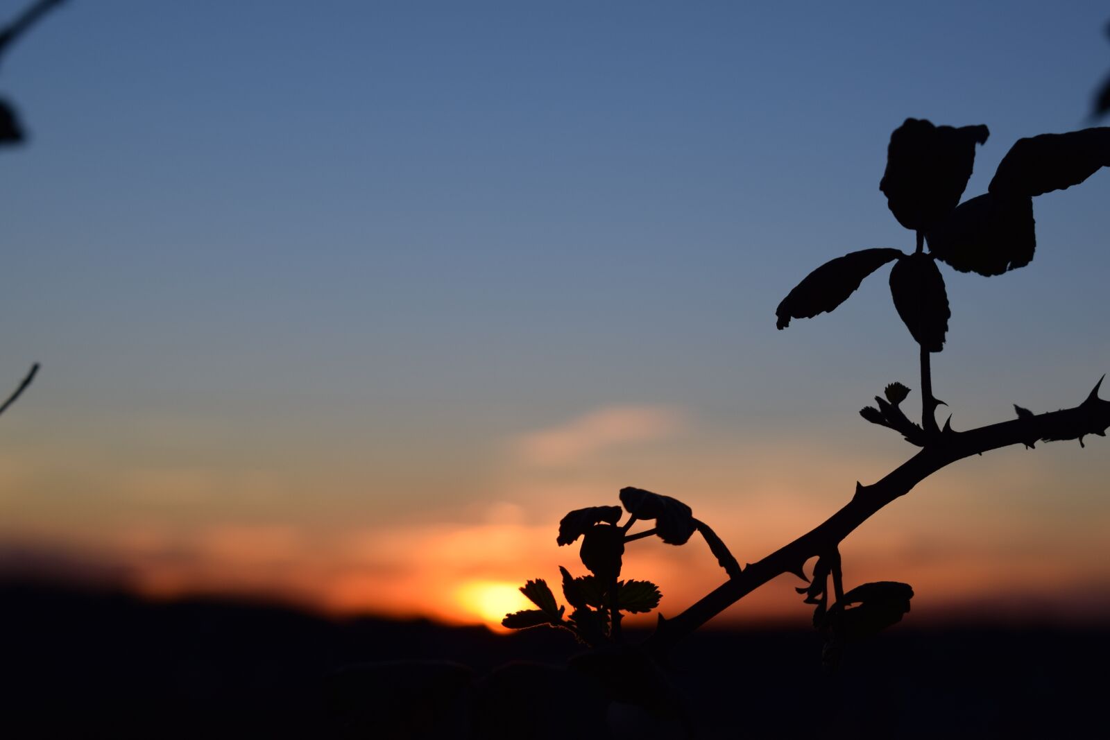 Nikon D3300 sample photo. Sunset, summer, warmth photography