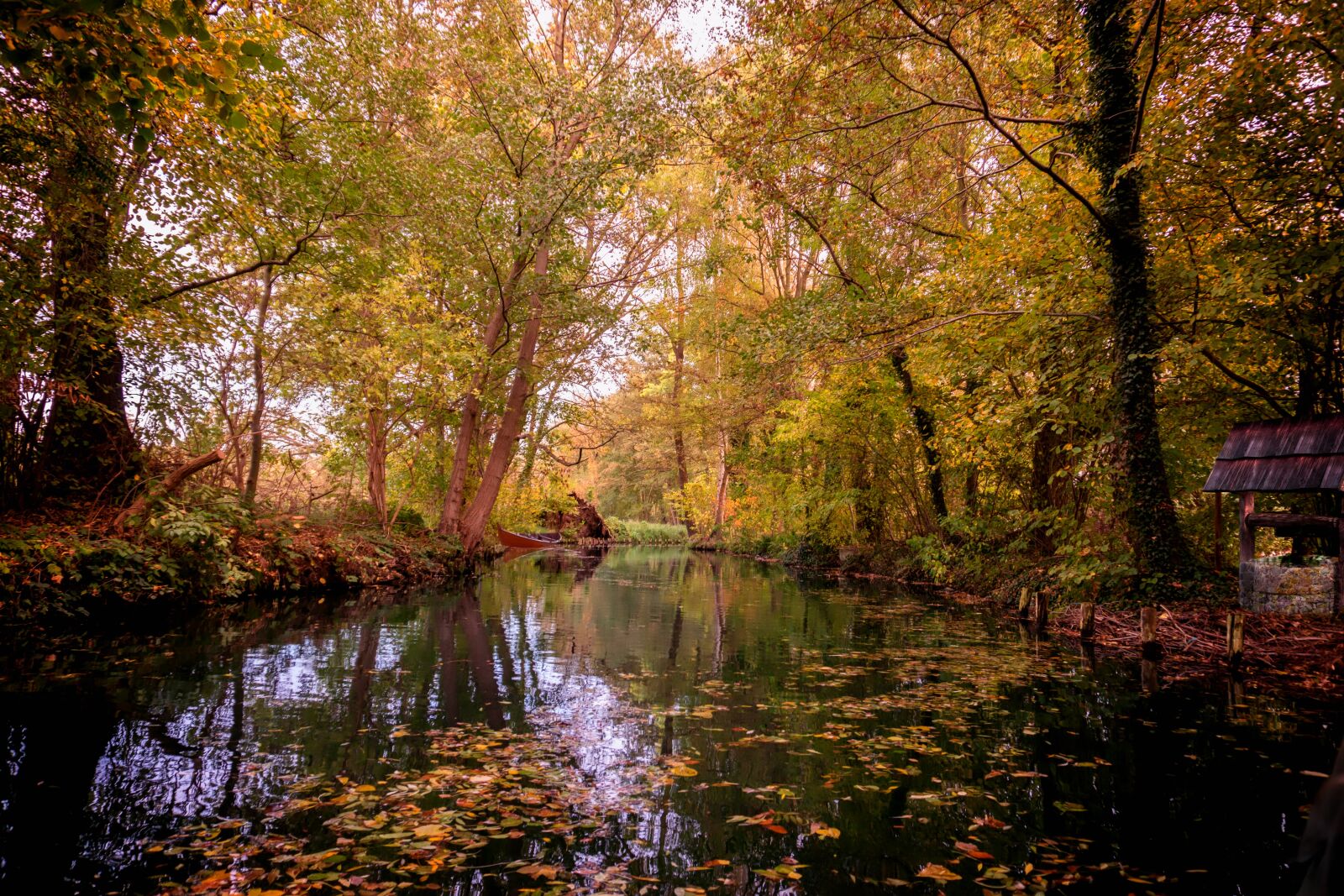 Sony a6000 sample photo. Spreewald, water, channel photography