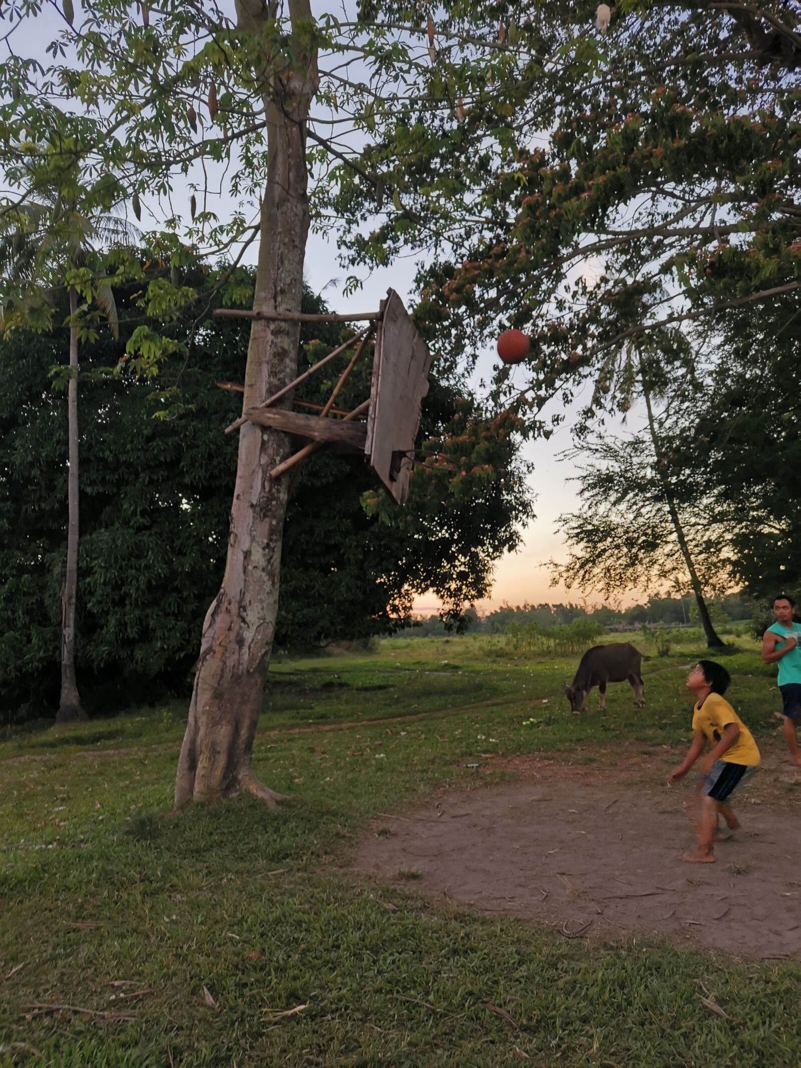 HUAWEI YAL-L21 sample photo. Philippines, farm, basketball photography