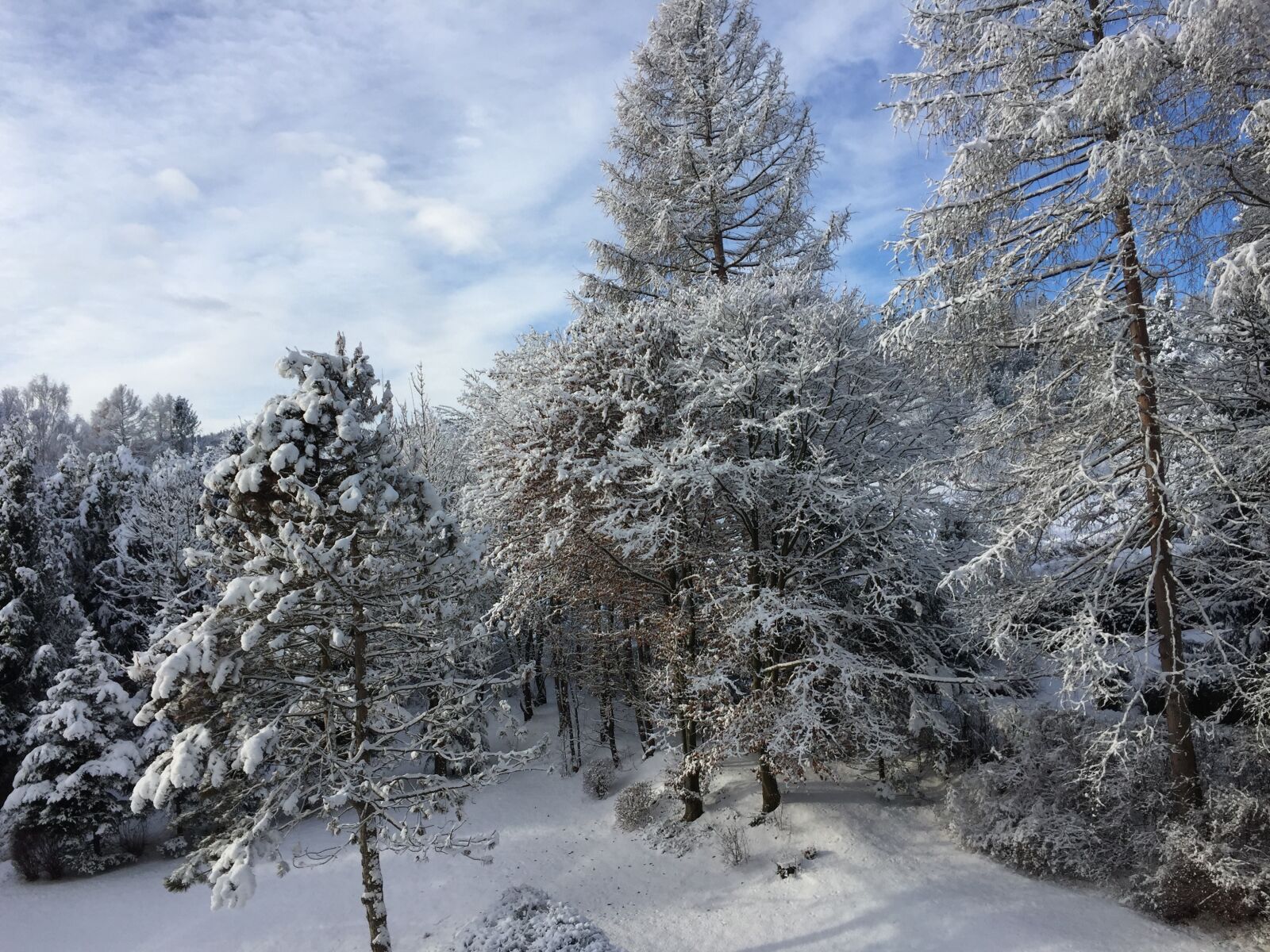 Apple iPhone 6 sample photo. Winter, snow, wintry photography