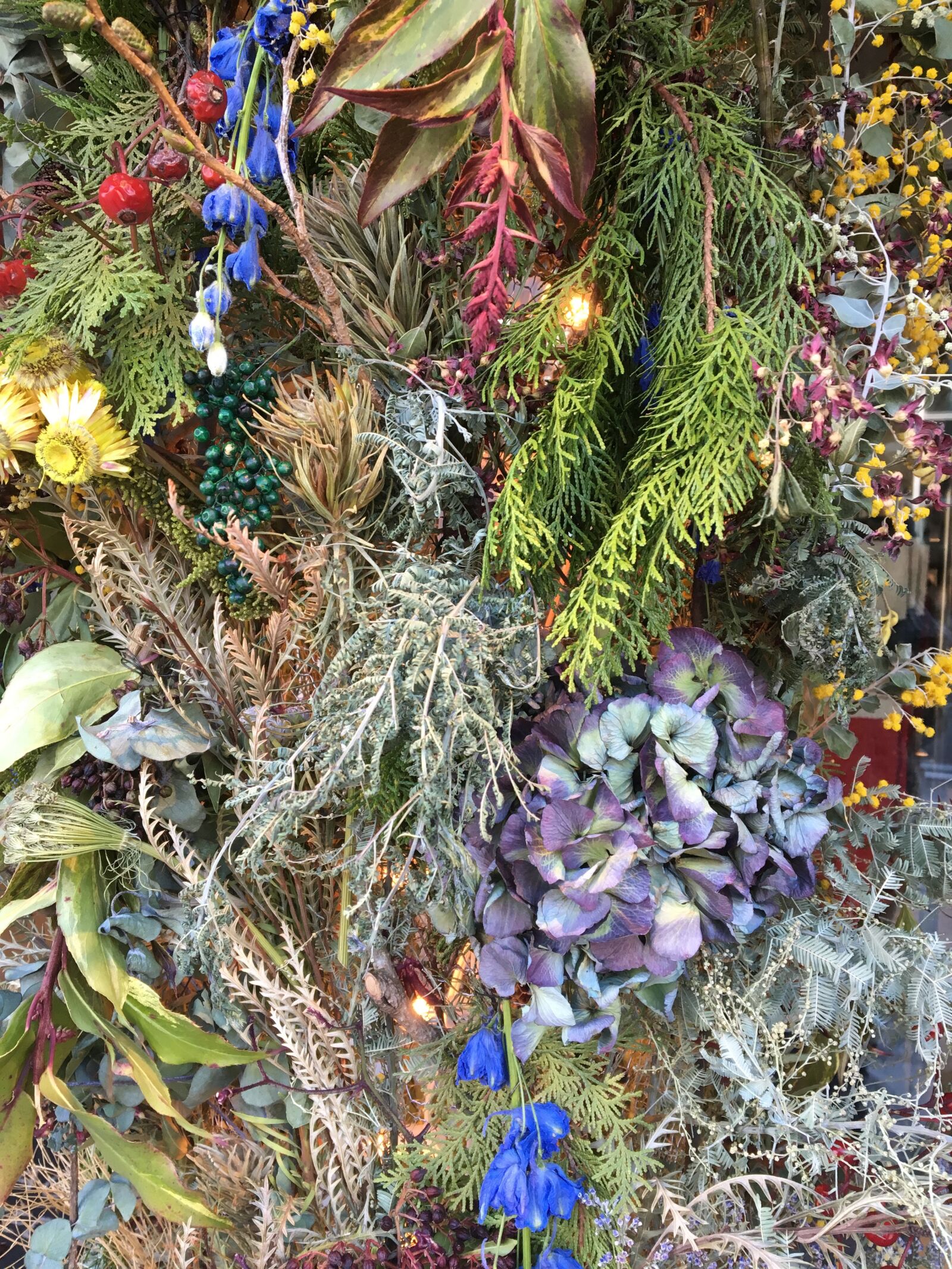 Apple iPhone 6s sample photo. Green, dried flower, flower photography