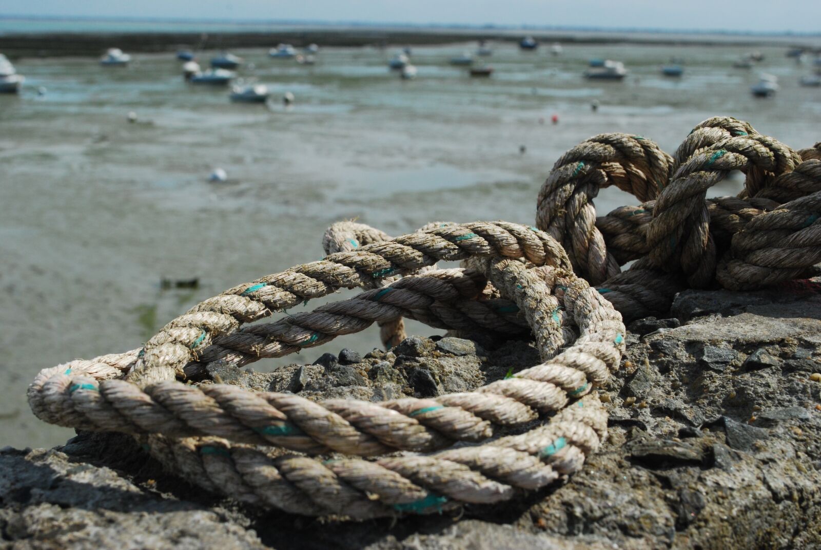 Nikon D60 sample photo. Cancale, sea, france photography