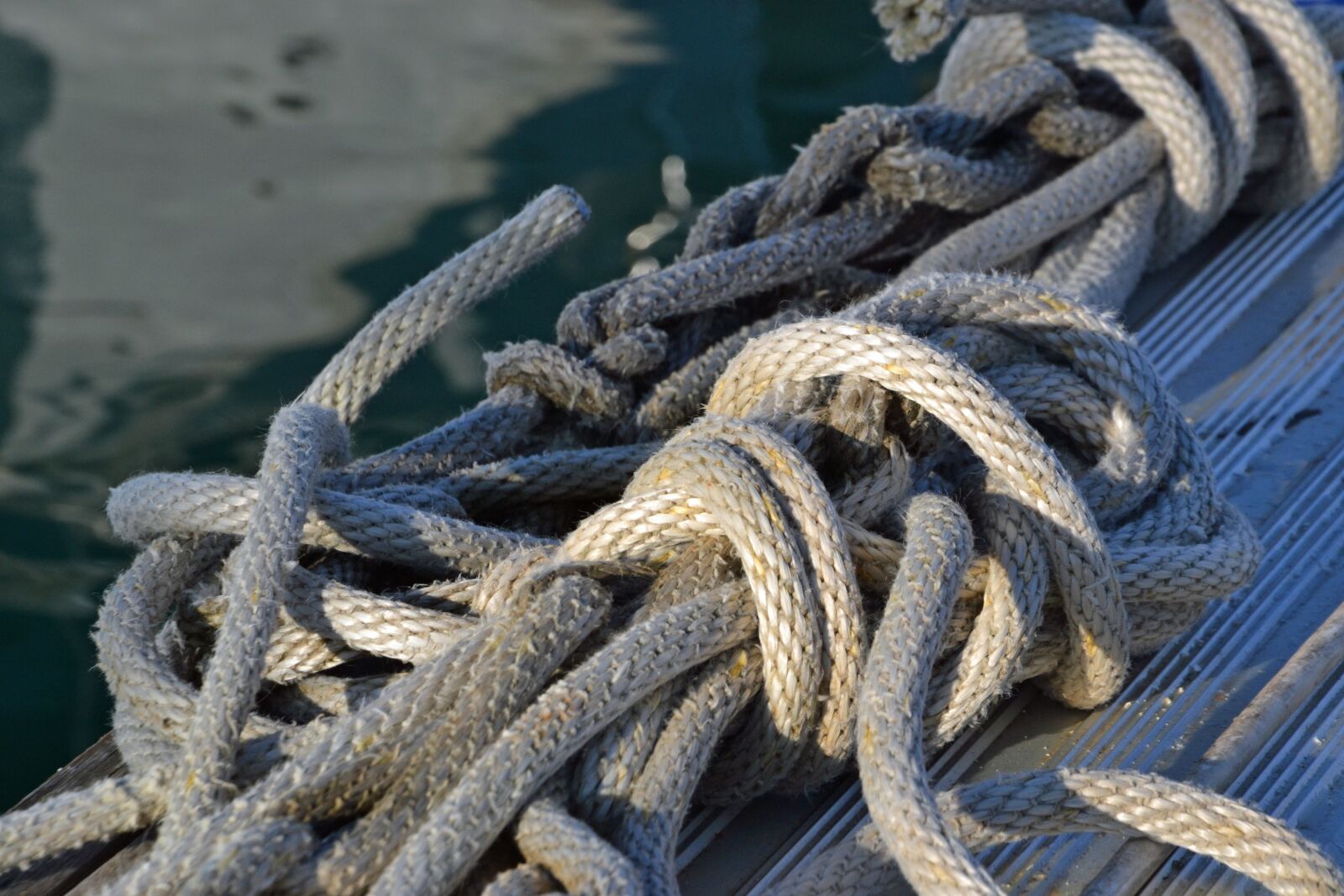 Nikon D3100 sample photo. Rope, dew, web photography