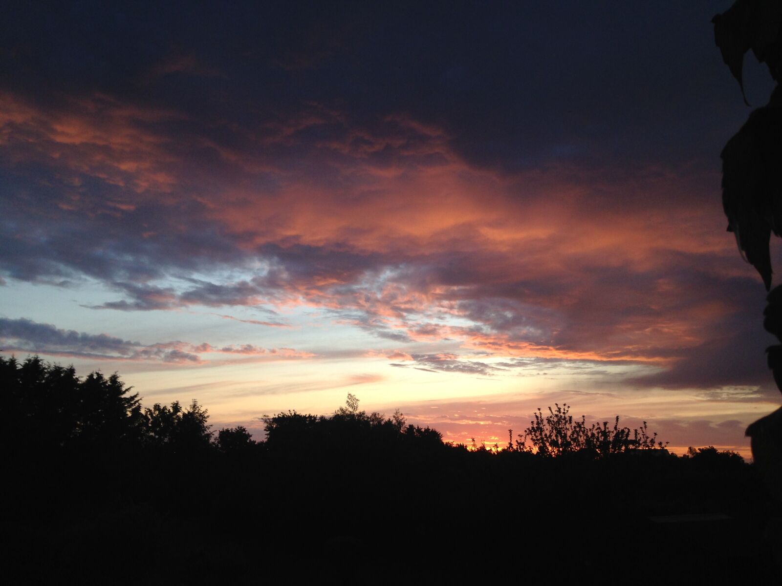 iPhone 5c back camera 4.12mm f/2.4 sample photo. Sunset photography