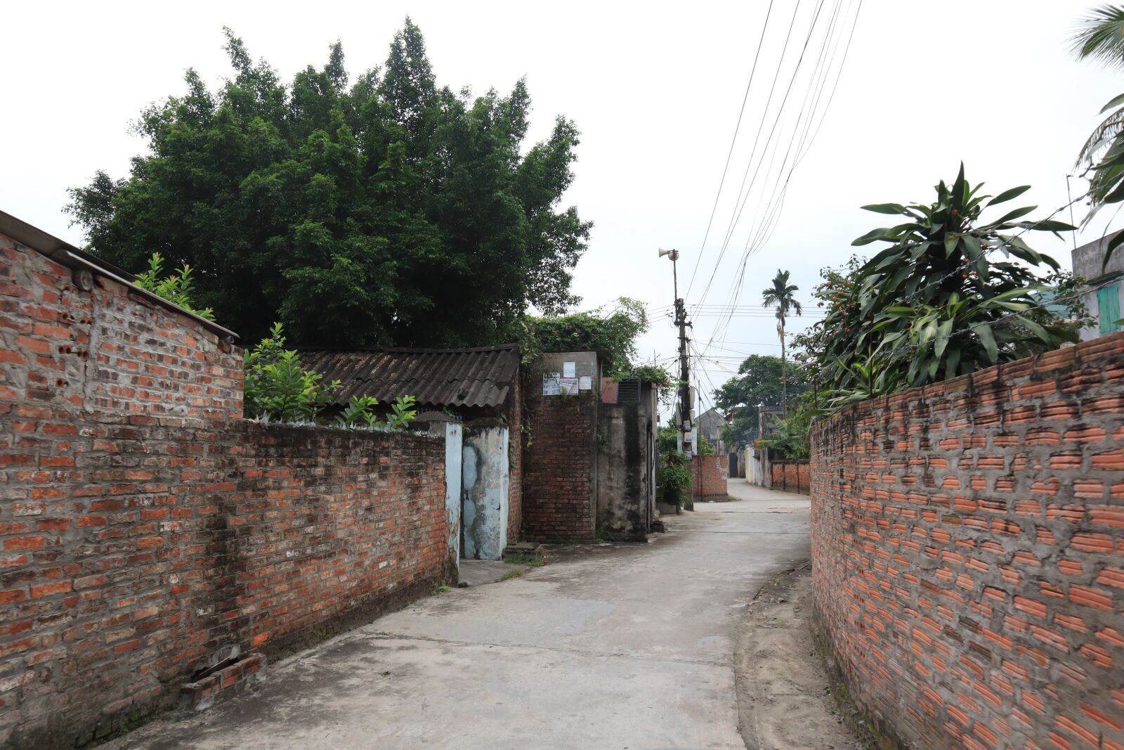 Canon EOS M50 (EOS Kiss M) sample photo. Lane, street, home photography