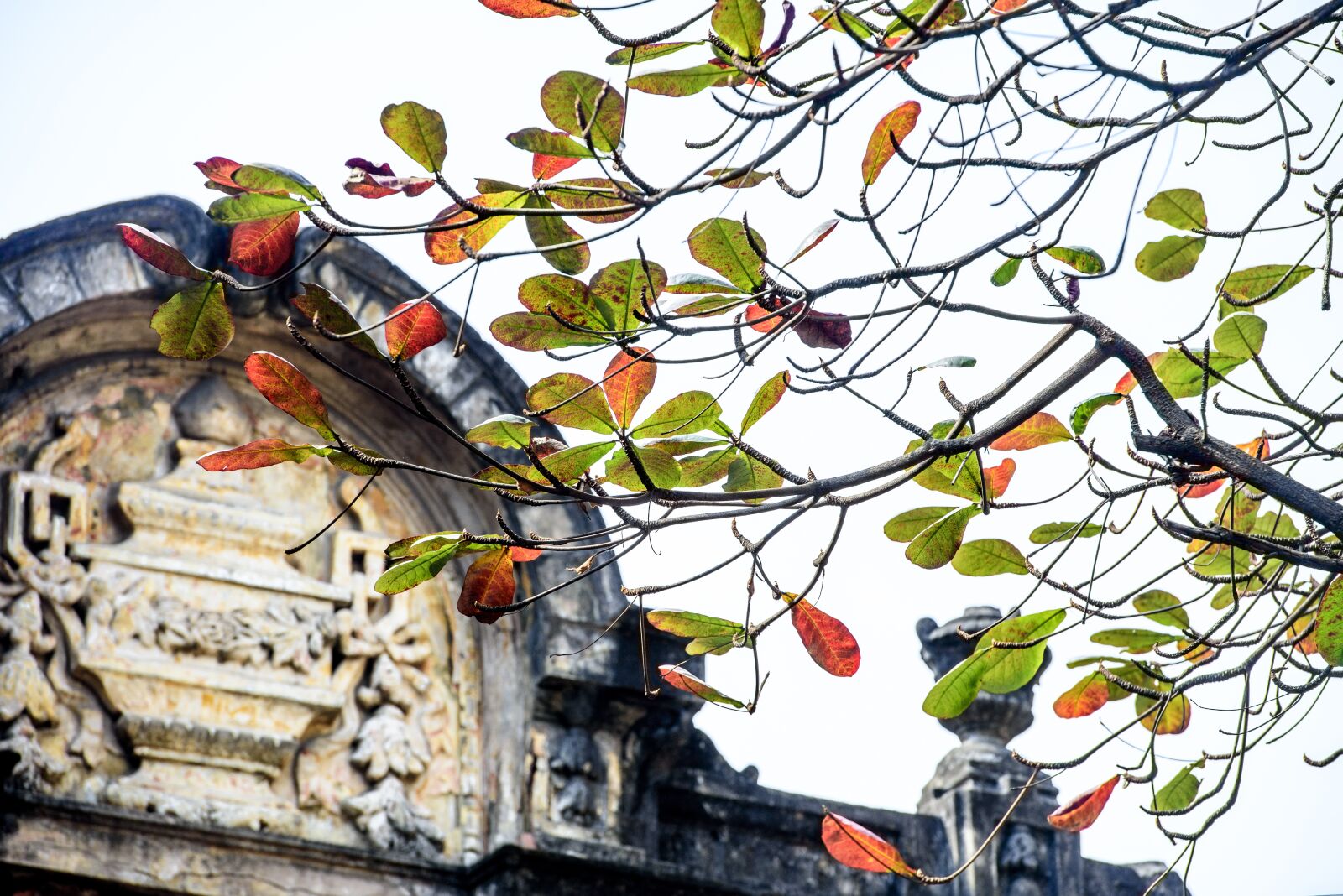 Nikon D810 sample photo. Hanoi, vietnam, hanoi old photography