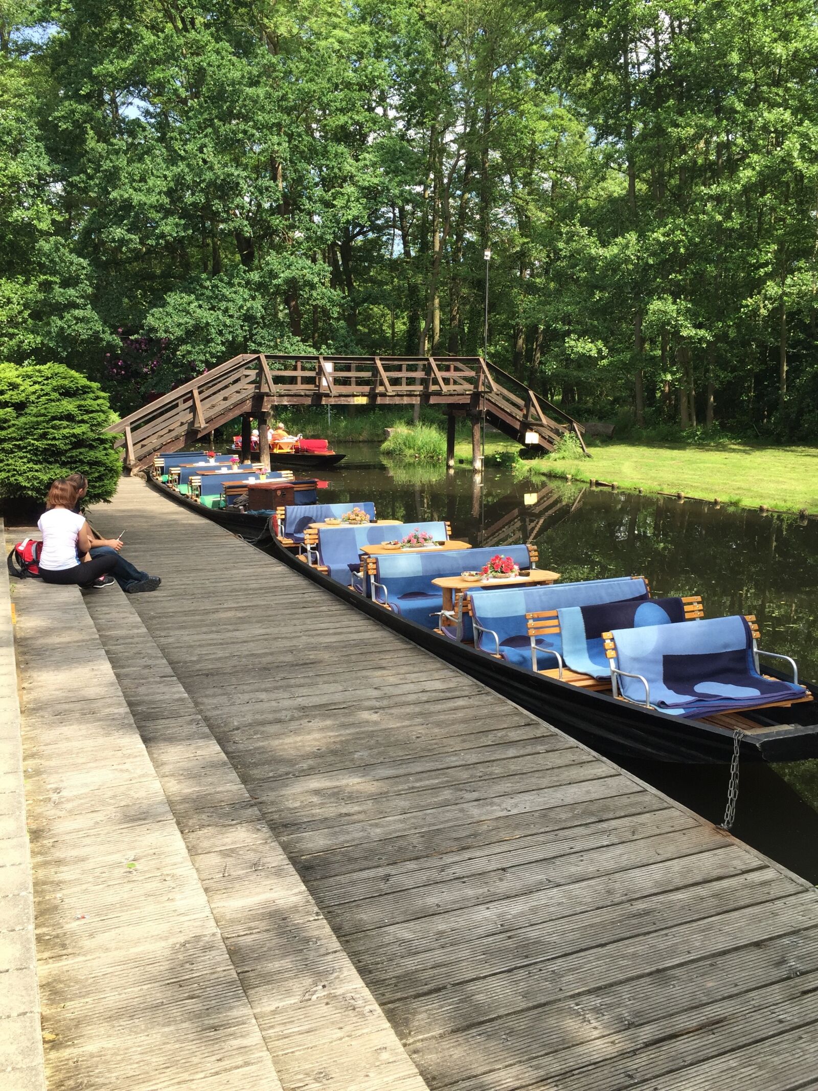 iPhone 6 Plus back camera 4.15mm f/2.2 sample photo. Spreewald germany, holiday, summer photography