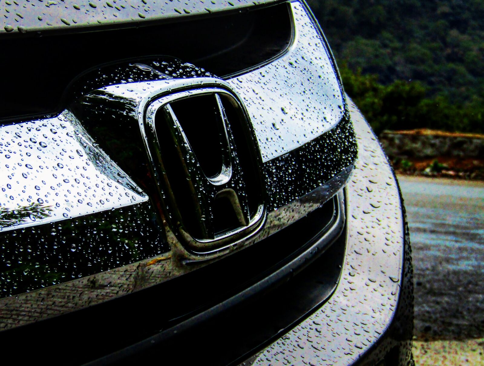 Canon PowerShot SX410 IS sample photo