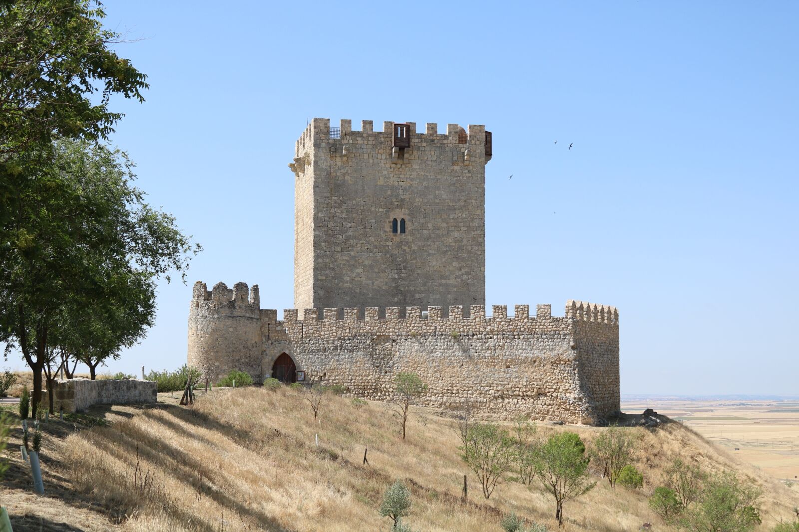 Canon EOS 750D (EOS Rebel T6i / EOS Kiss X8i) sample photo. Castle, valladolid, tiedra photography