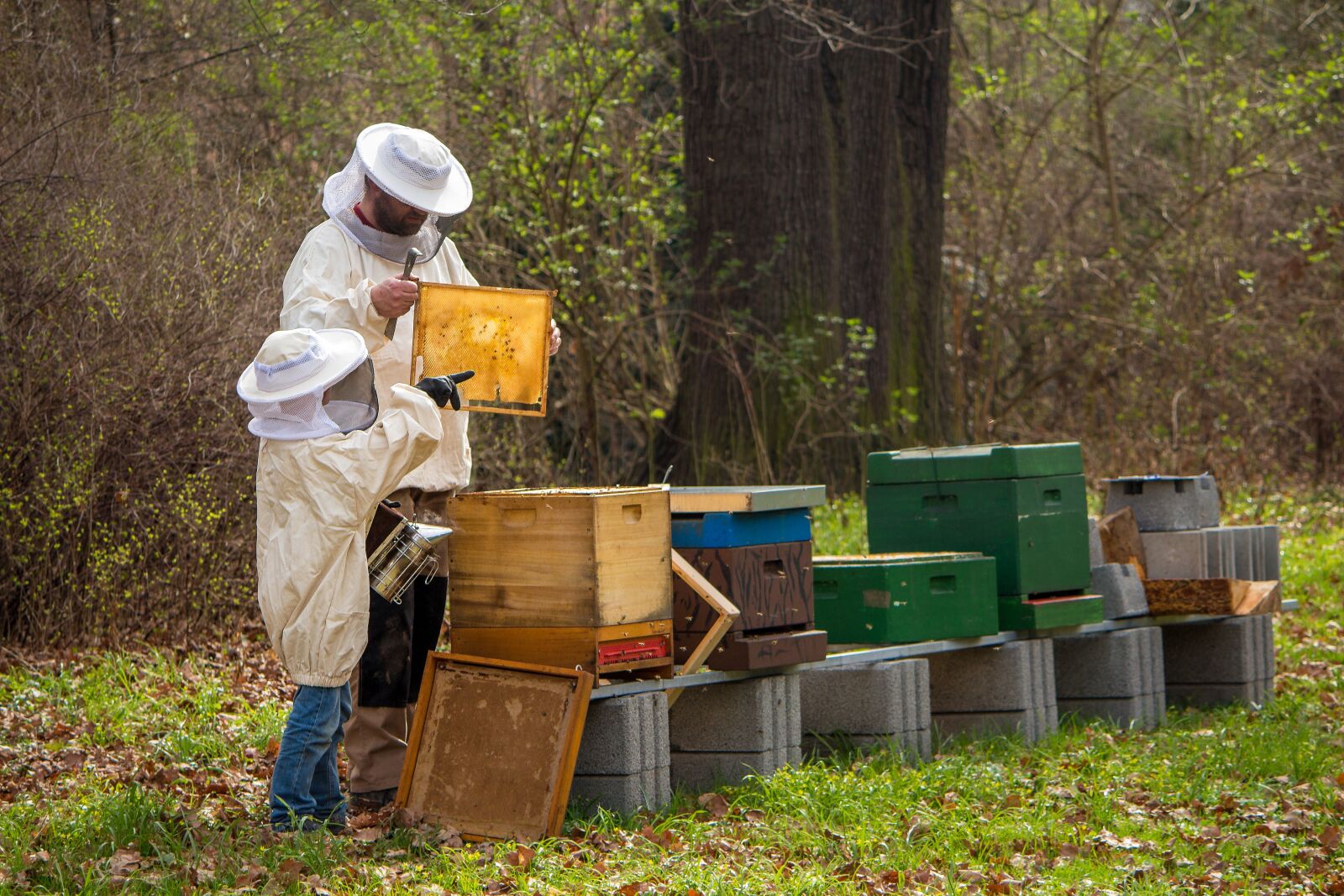 Canon EF-S 55-250mm F4-5.6 IS II sample photo. Beekeeper, bees, young photography