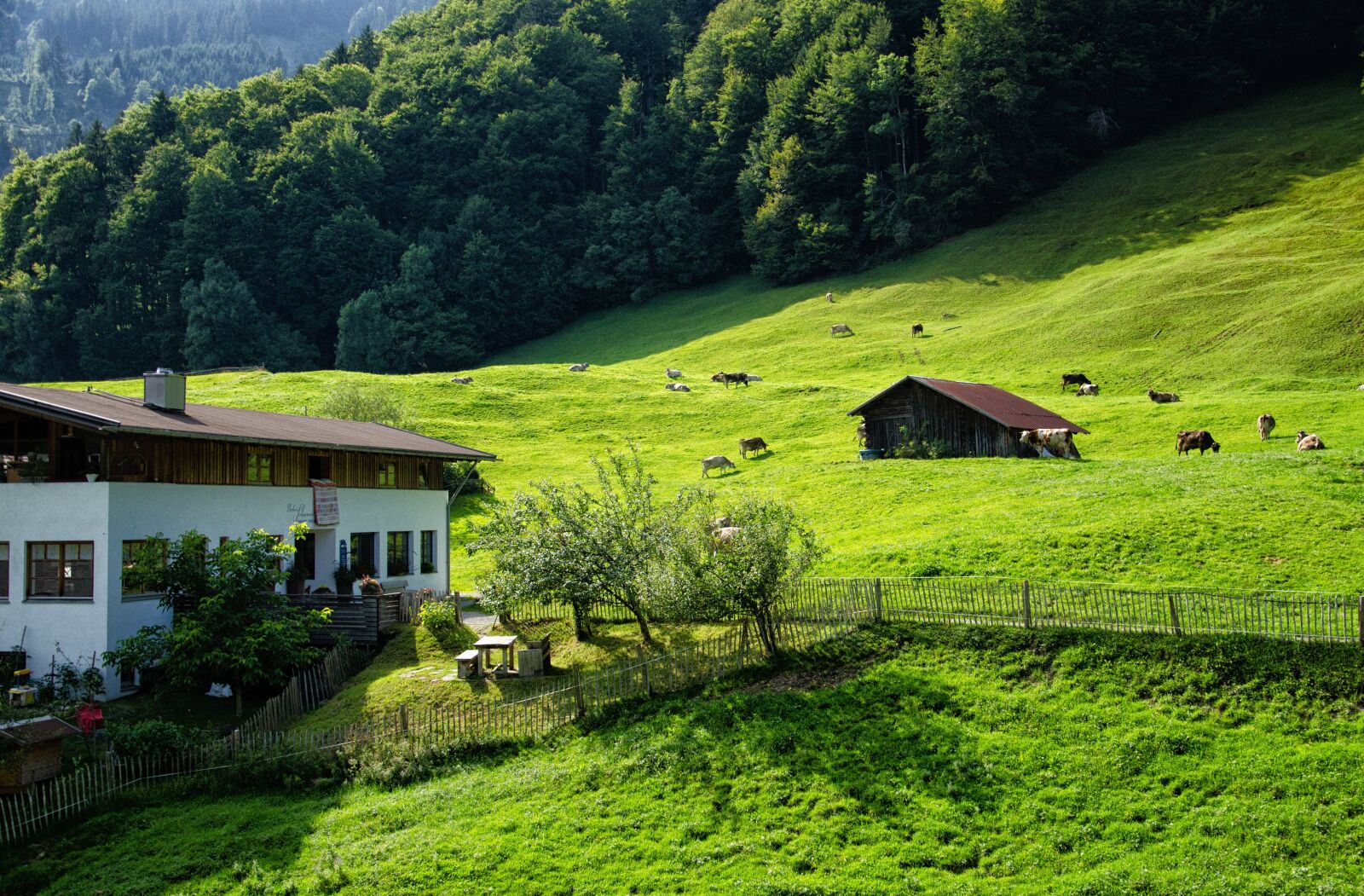Nikon D5100 sample photo. Allgäu, oberstdorf, mountains photography