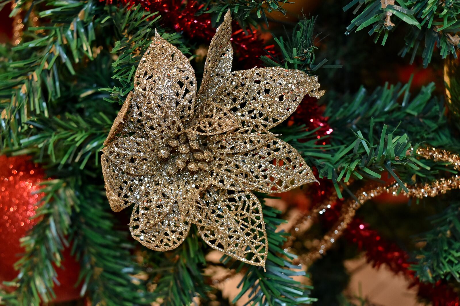 Nikon D5500 sample photo. Branches, bright, christmas, christmas photography
