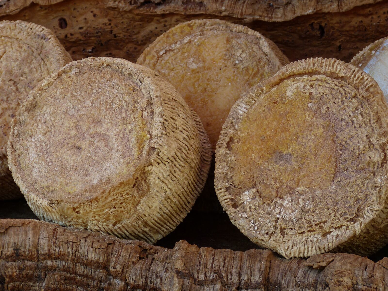 Panasonic Lumix DMC-FZ150 sample photo. Cheese, market, market stall photography