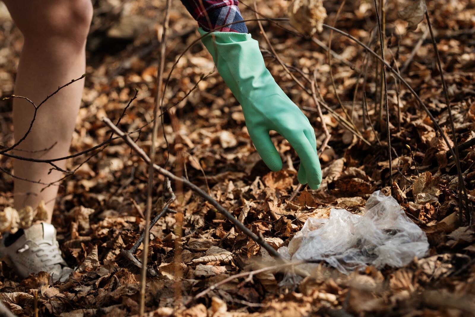 Sigma 85mm F1.4 DG HSM Art sample photo. Nature, garbage, pollution photography