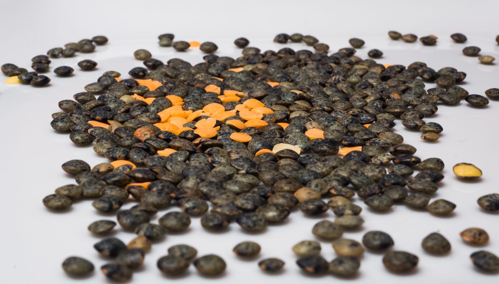 Sony DT 16-50mm F2.8 SSM sample photo. Lentils, nature photography