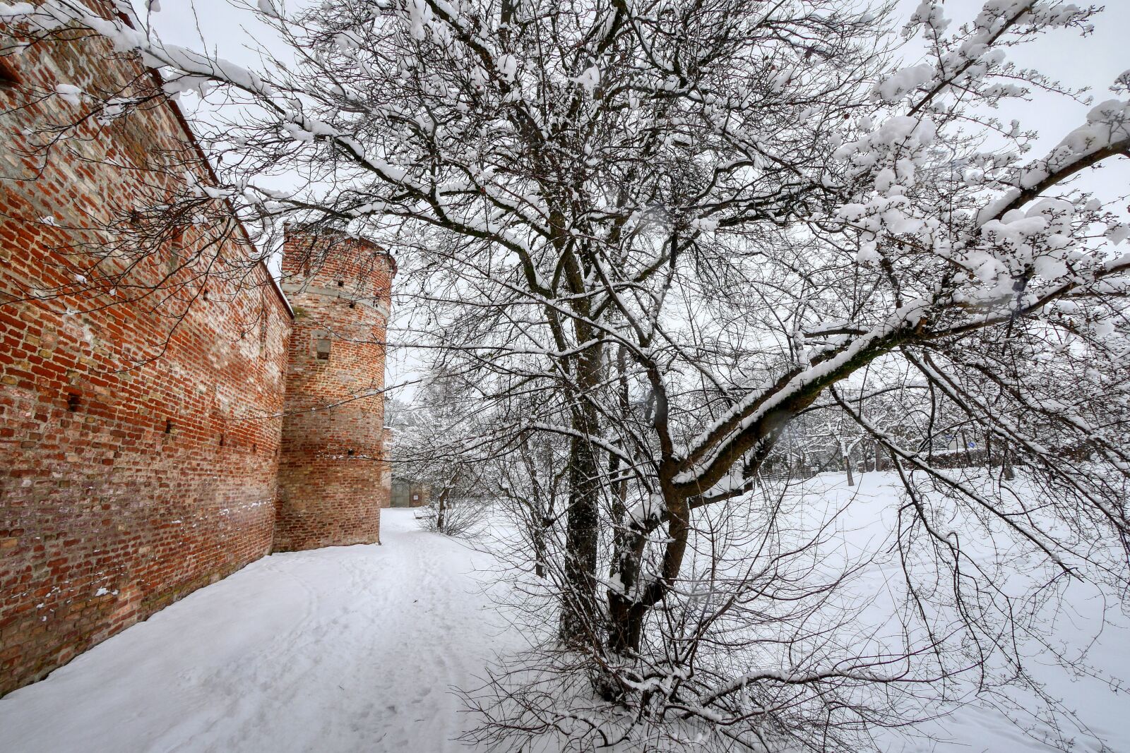 Panasonic Lumix DMC-GX8 sample photo. Architecture, winter, ripe photography