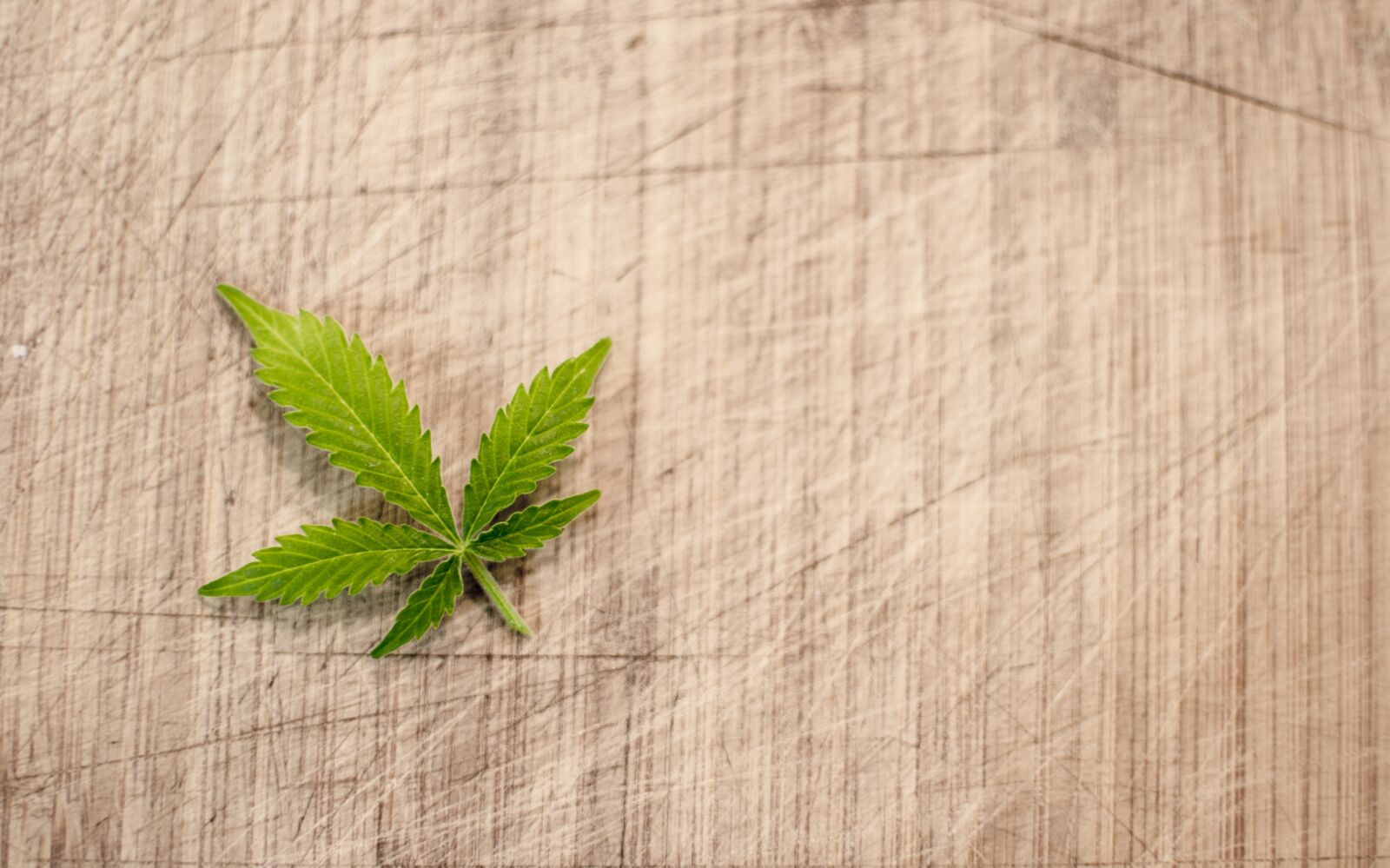 Nikon D3100 sample photo. Marijuana, cannabis, hash photography