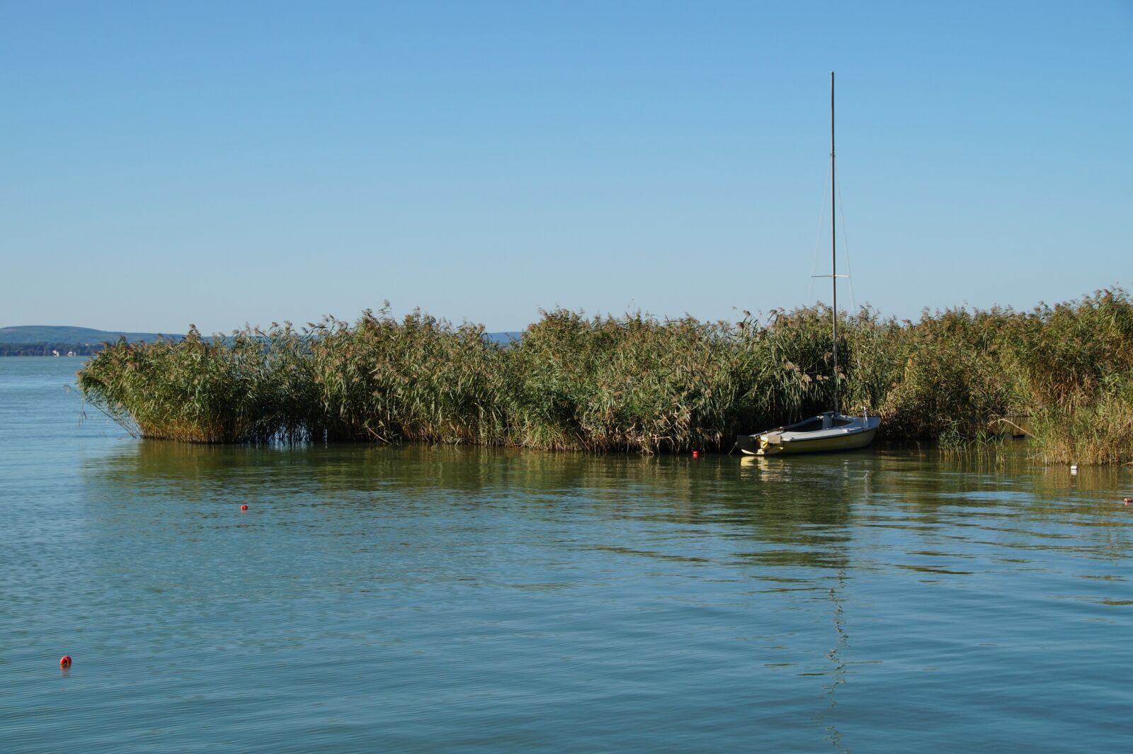 Sony SLT-A58 sample photo. Lake, balaton, reeds photography