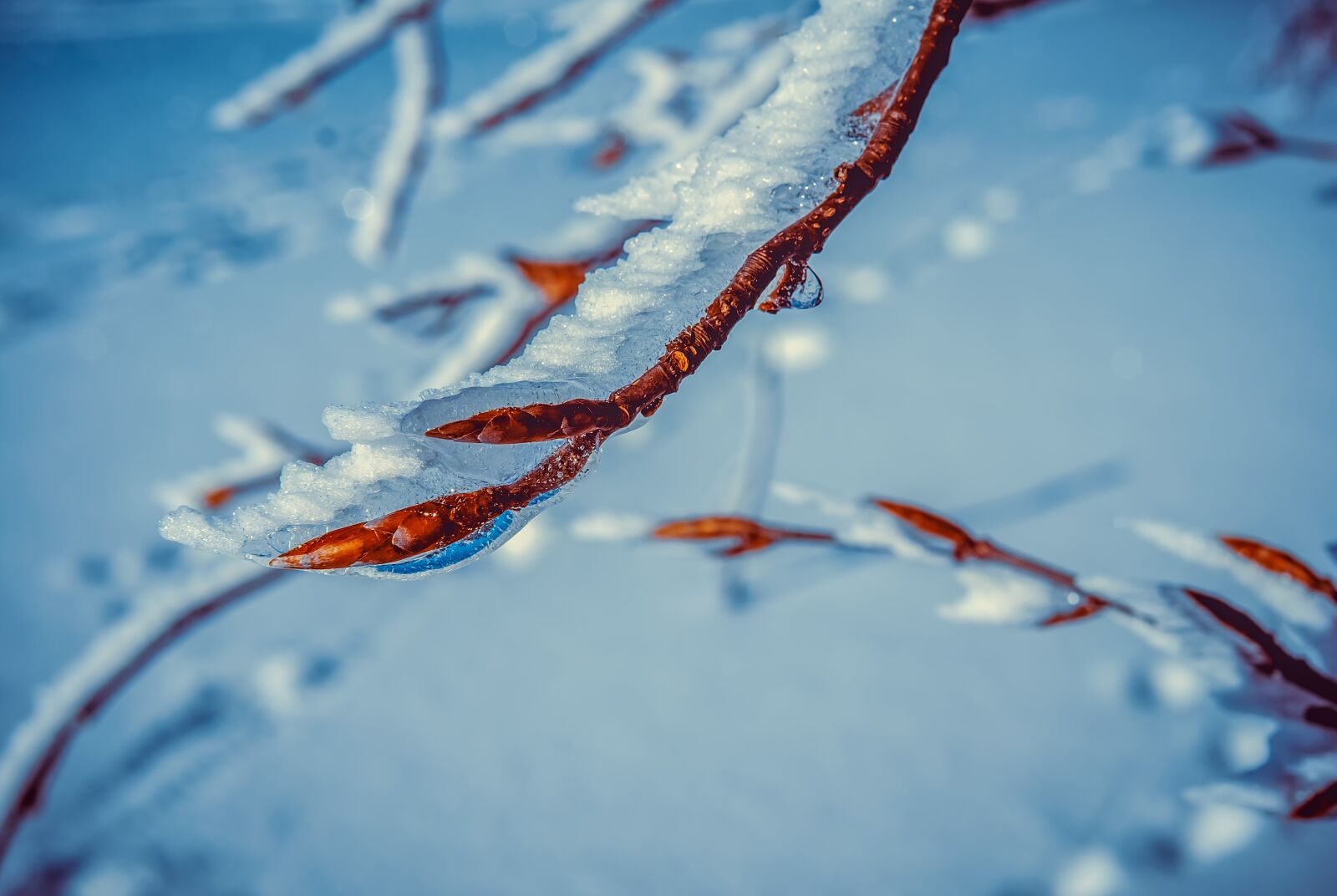 Fujifilm X-T10 + Fujifilm XF 35mm F1.4 R sample photo. Eiskristalle, frost, frozen photography