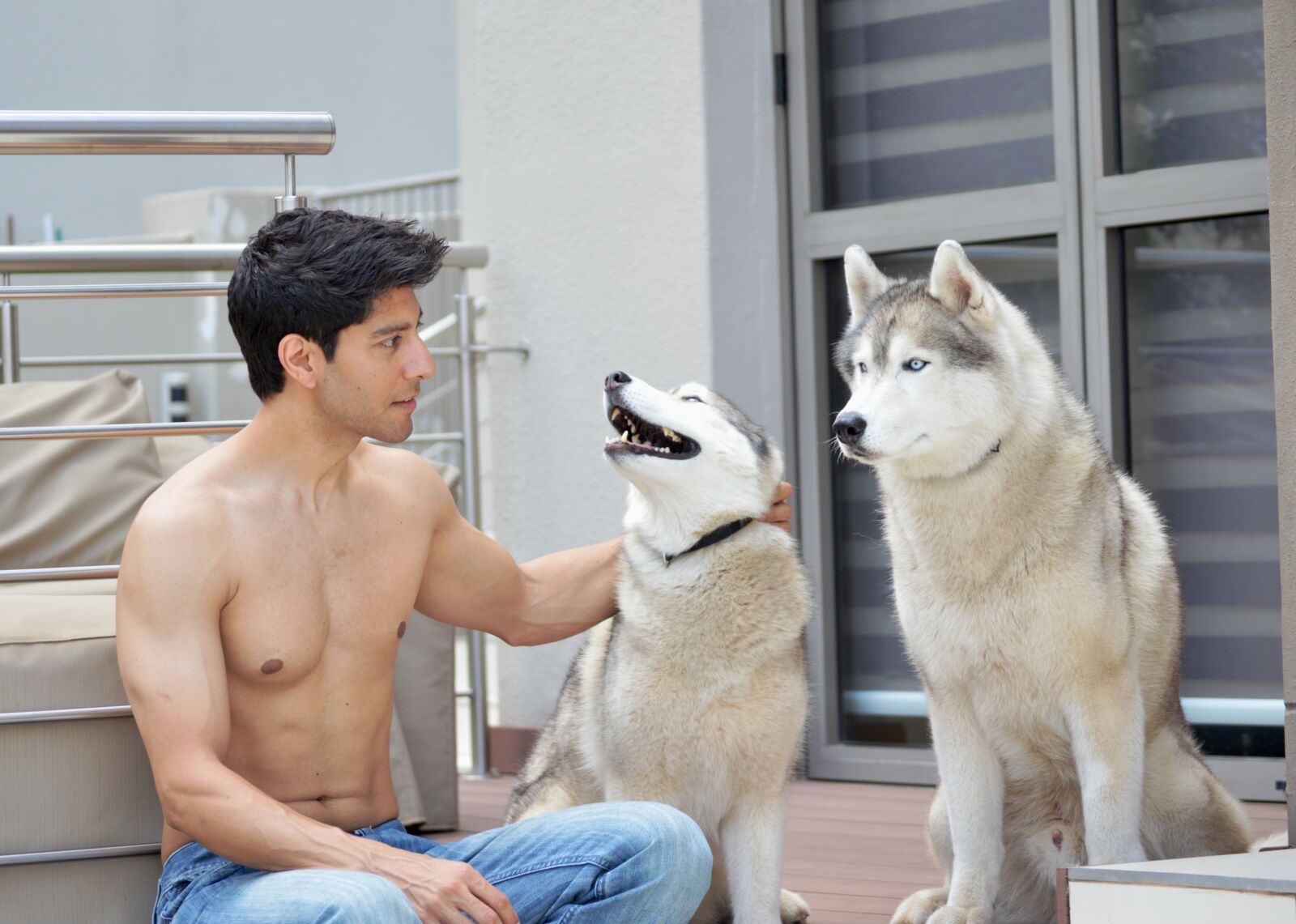 Nikon D3200 sample photo. Dogs, husky, abs photography