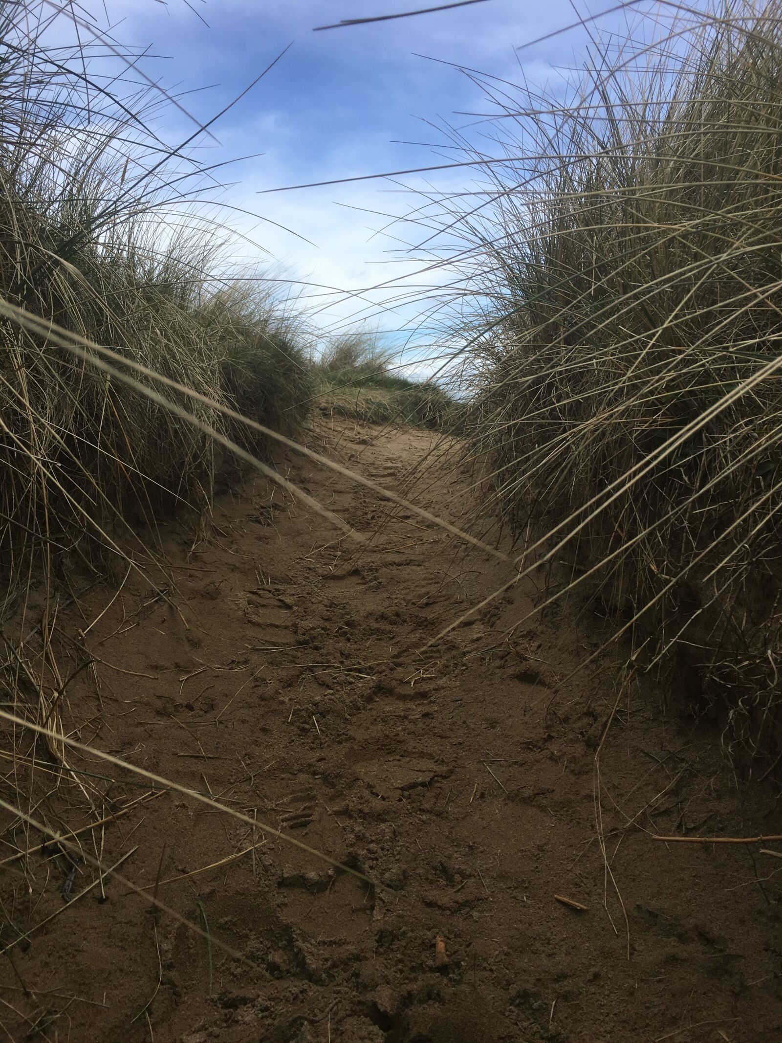 Apple iPhone 6s sample photo. Buncrana, donegal, ireland photography