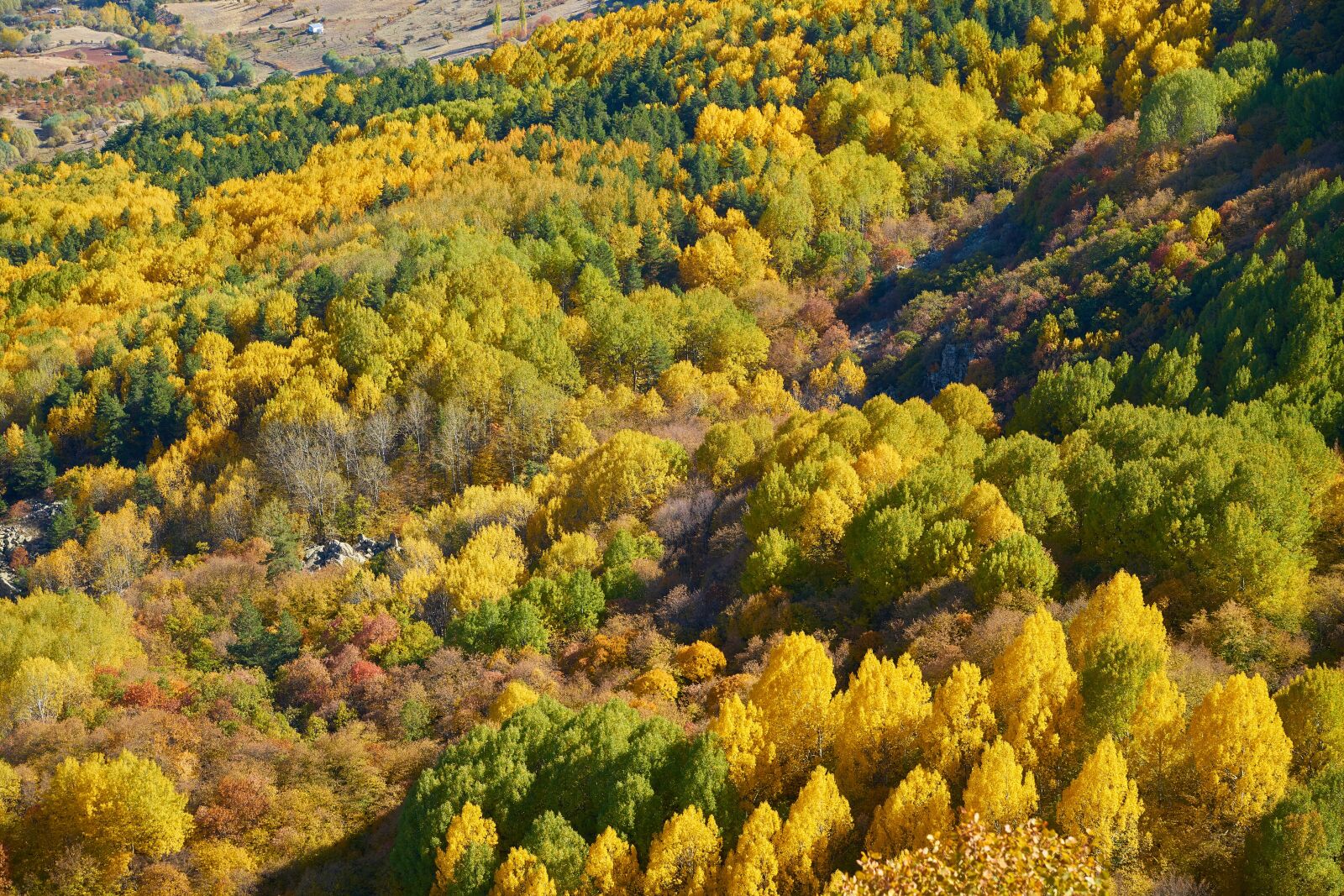 Sony a7R II sample photo. Autumn, season, landscape photography