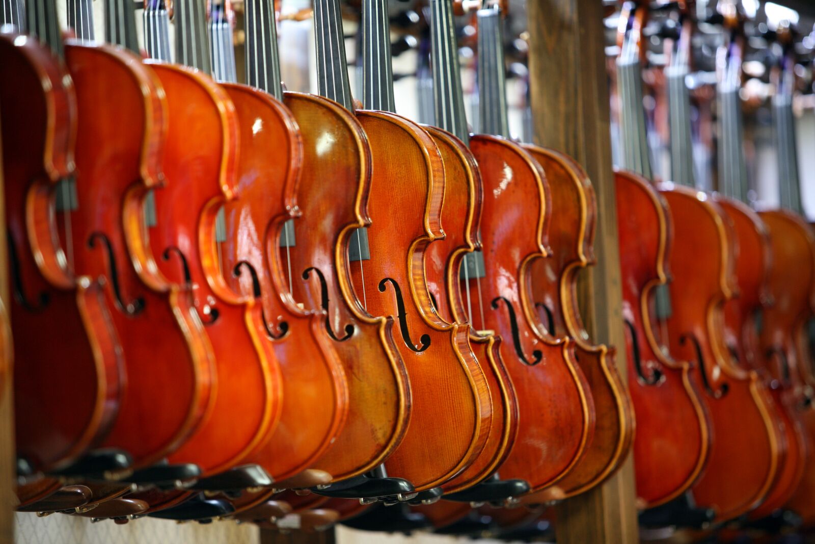 Canon EOS 5D sample photo. Instrument, music, played photography