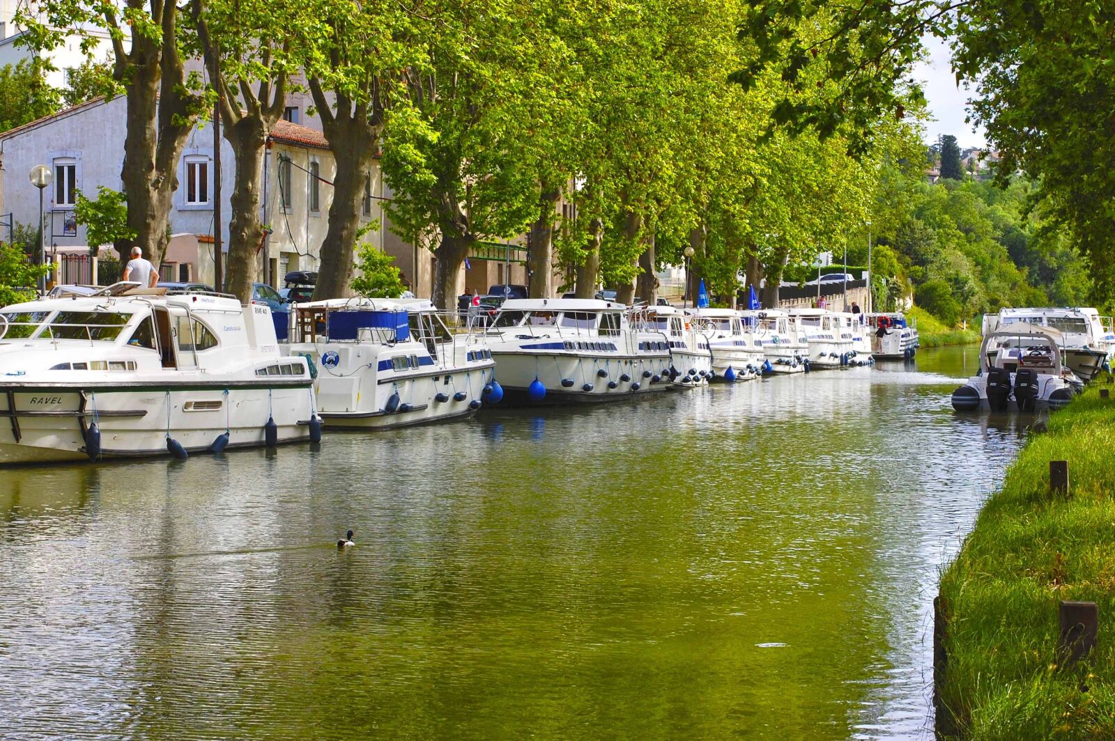 Nikon D40 sample photo. France, carcassonne, river photography