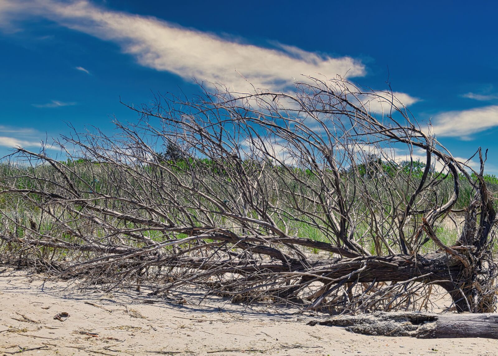 Nikon D3300 sample photo. Beach, sand, fallen photography