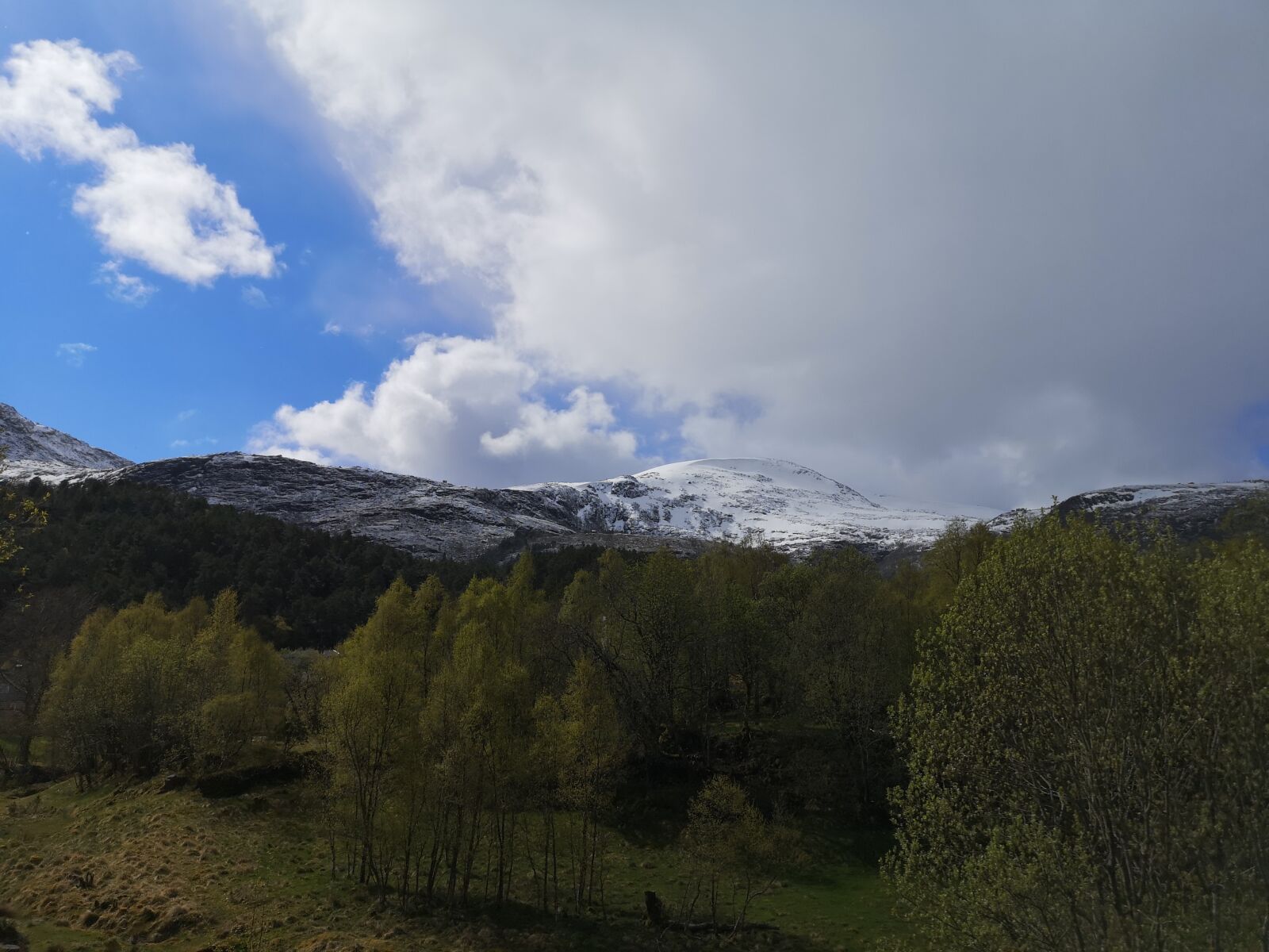HUAWEI CLT-L29 sample photo. Spring, clouds, trees photography