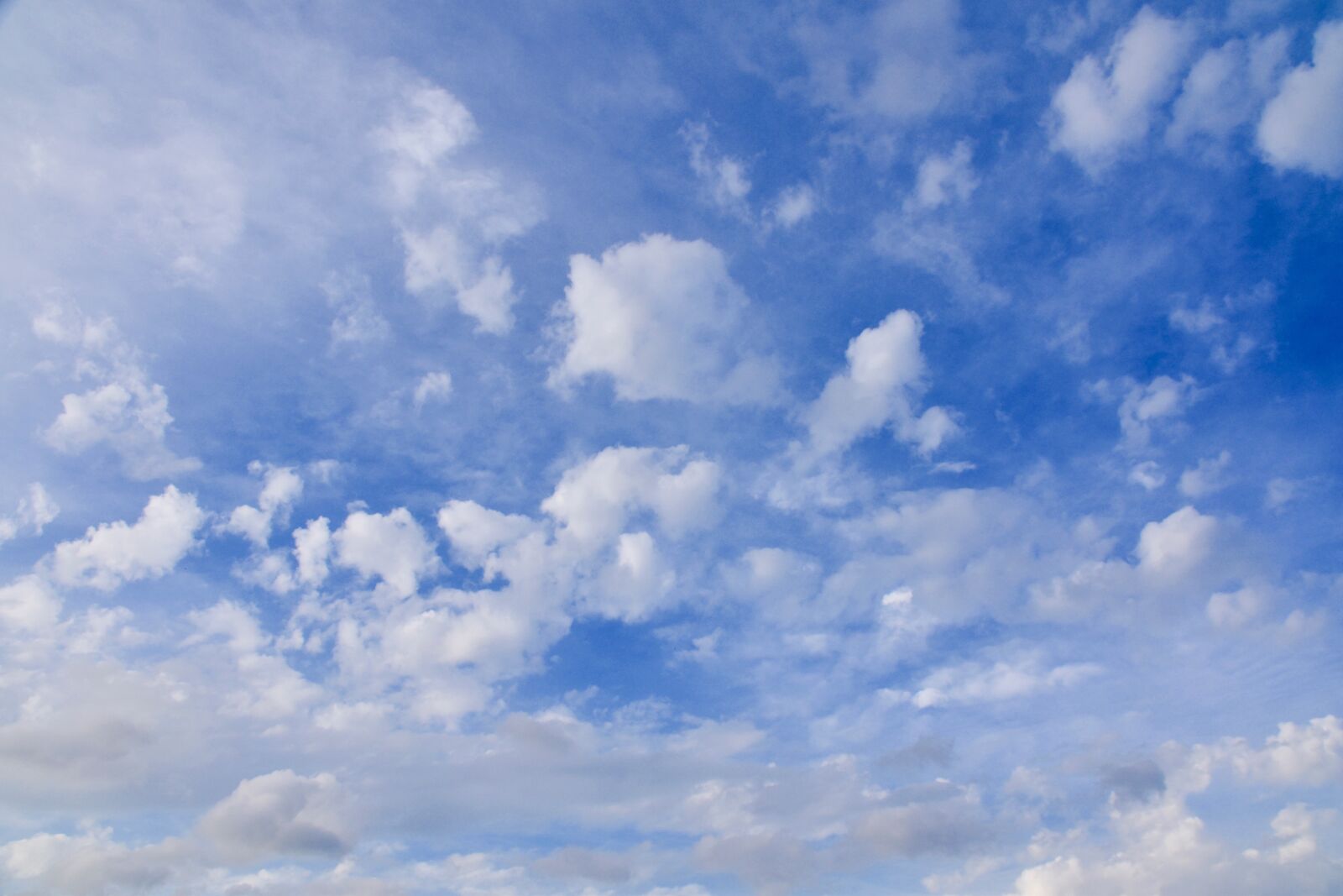Nikon D5600 sample photo. Cloudy sky, blue sky photography