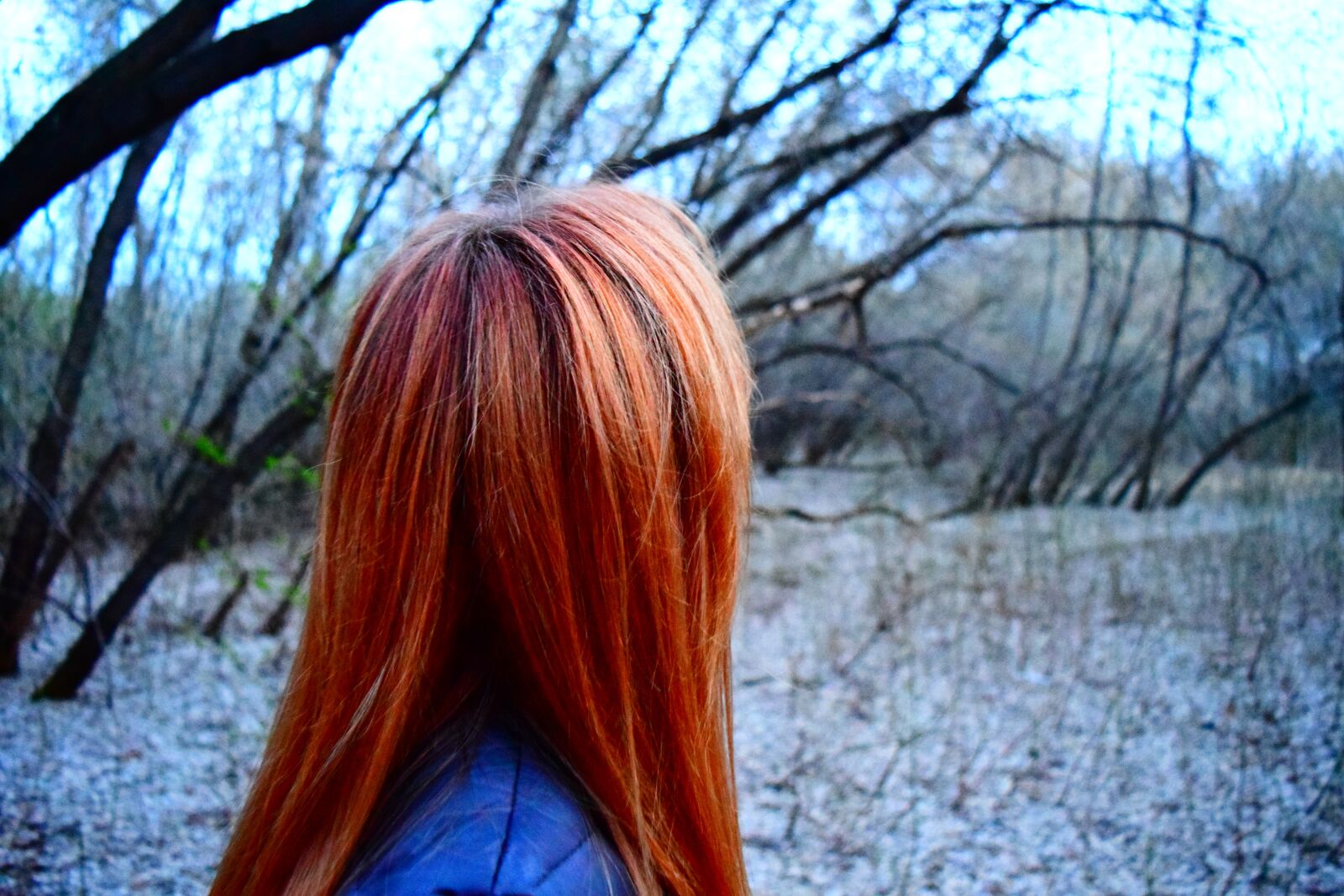 Nikon D3300 sample photo. Red hair, woman, park photography