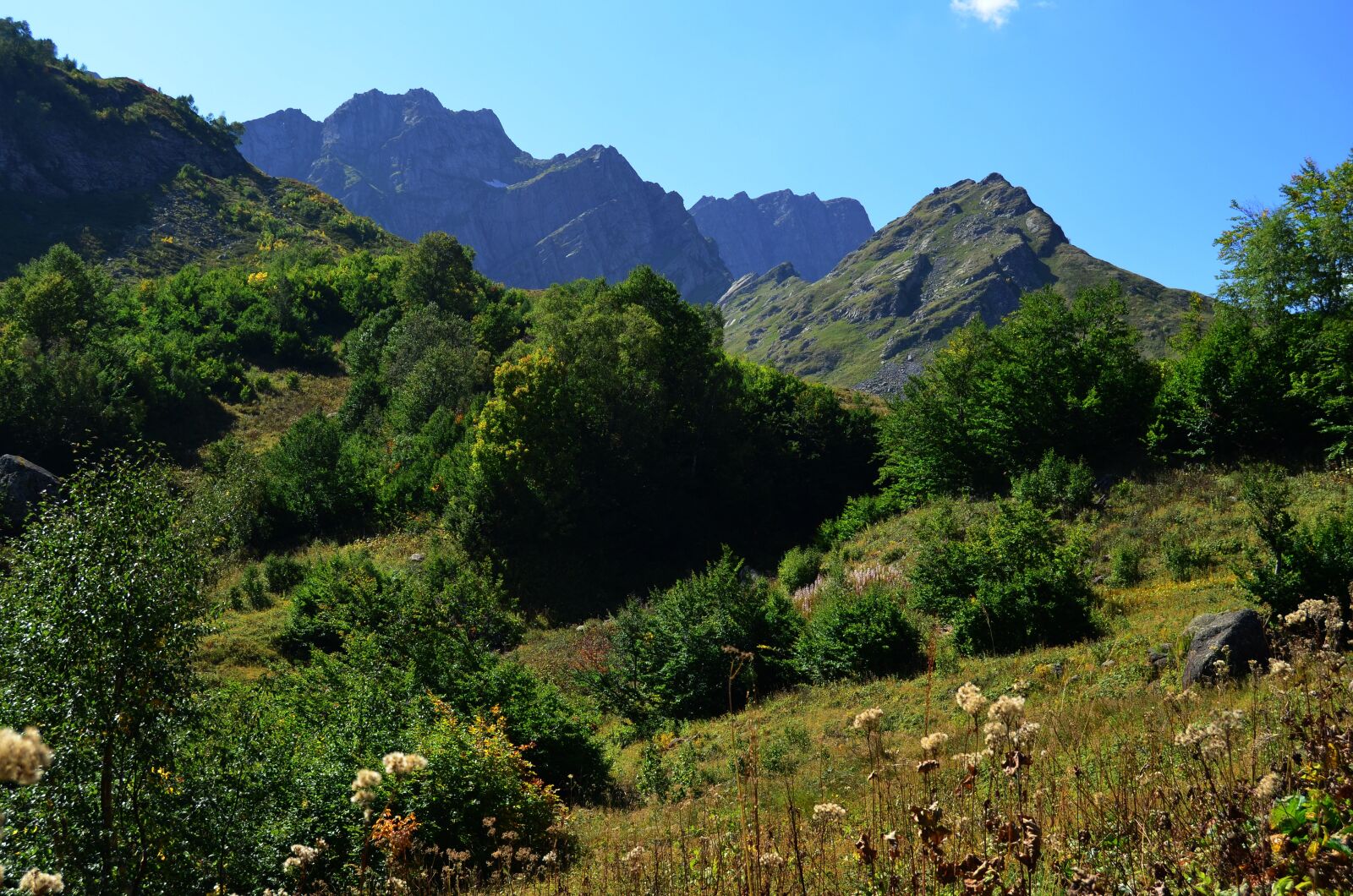 Nikon D5100 sample photo. Abkhazia, mountains, nature photography