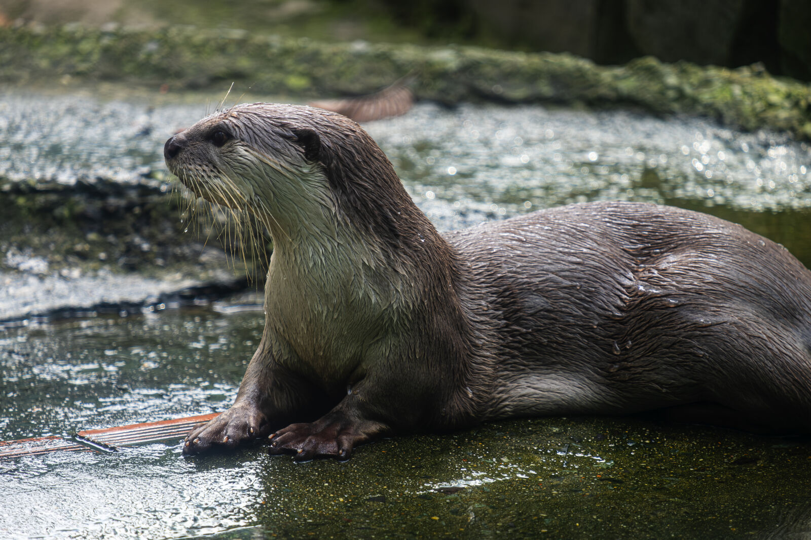 Fujifilm X-T1 sample photo