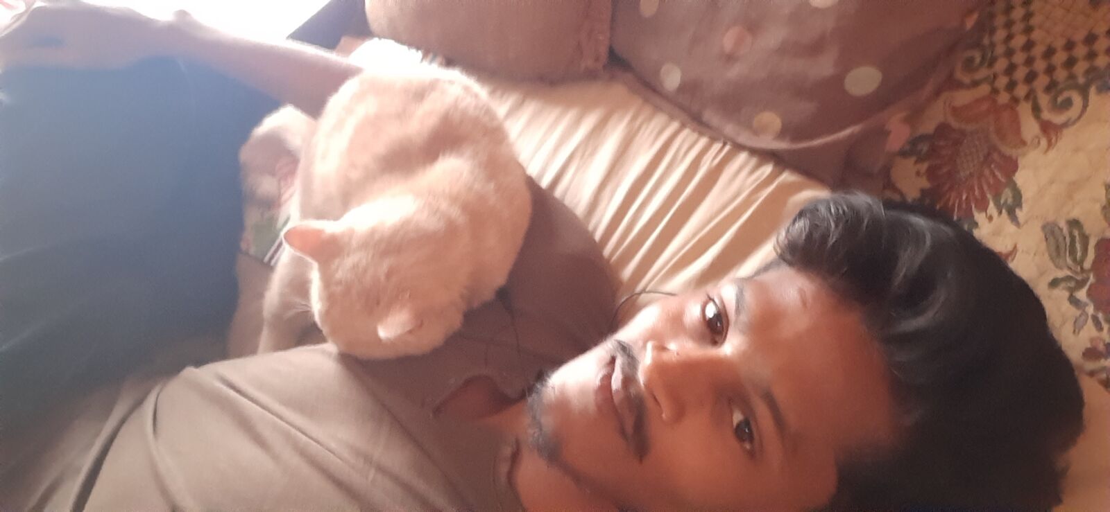 Samsung Galaxy A30 sample photo. Cat, loin, lynx photography