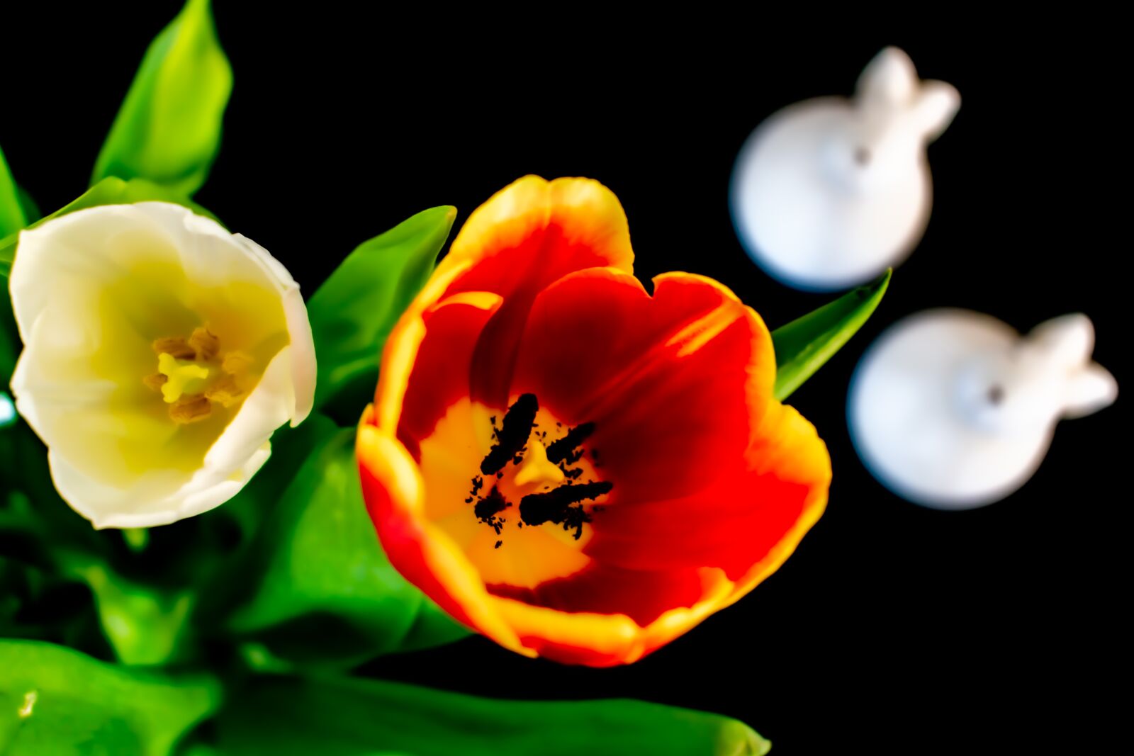 Nikon D5300 sample photo. Easter, tulips, easter bunny photography