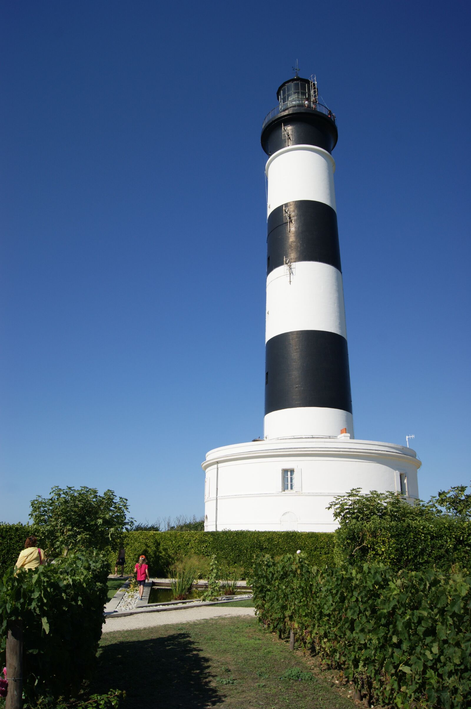 Sony Alpha DSLR-A290 sample photo. Lighthouse, sea, electric headlight photography