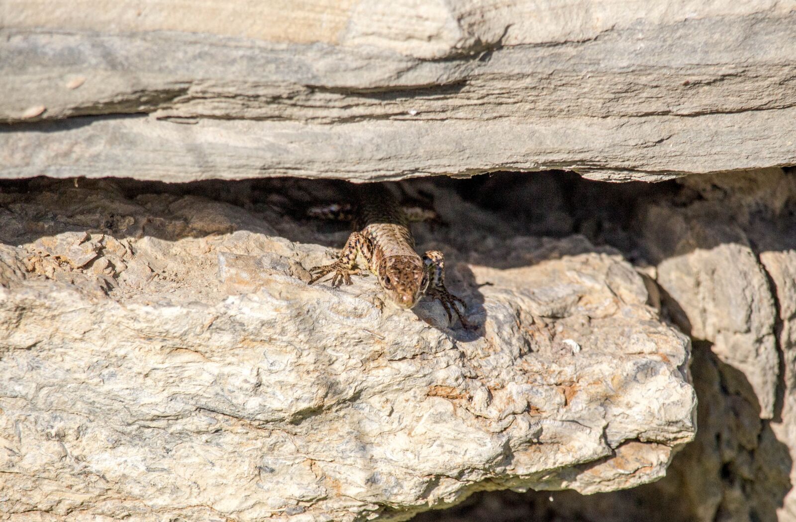 Canon EOS 700D (EOS Rebel T5i / EOS Kiss X7i) sample photo. Nature, rock, stone photography