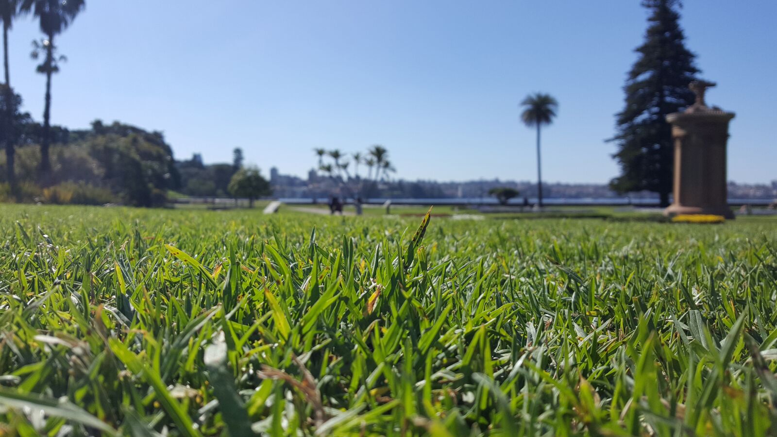 Samsung Galaxy S6 sample photo. Australia, sydney, nsw photography