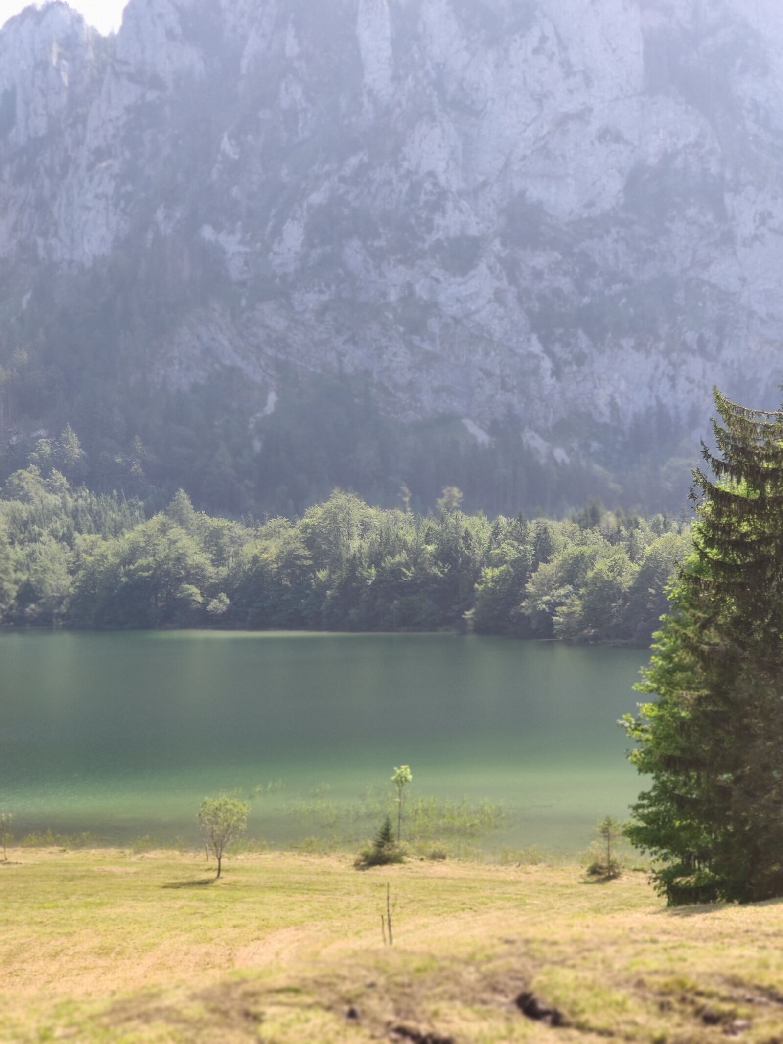 Xiaomi MI 9 sample photo. Almsee, area, mountains photography