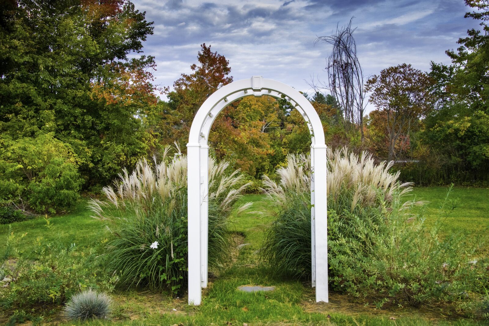 Nikon D800 sample photo. Fall, colors, autumn photography