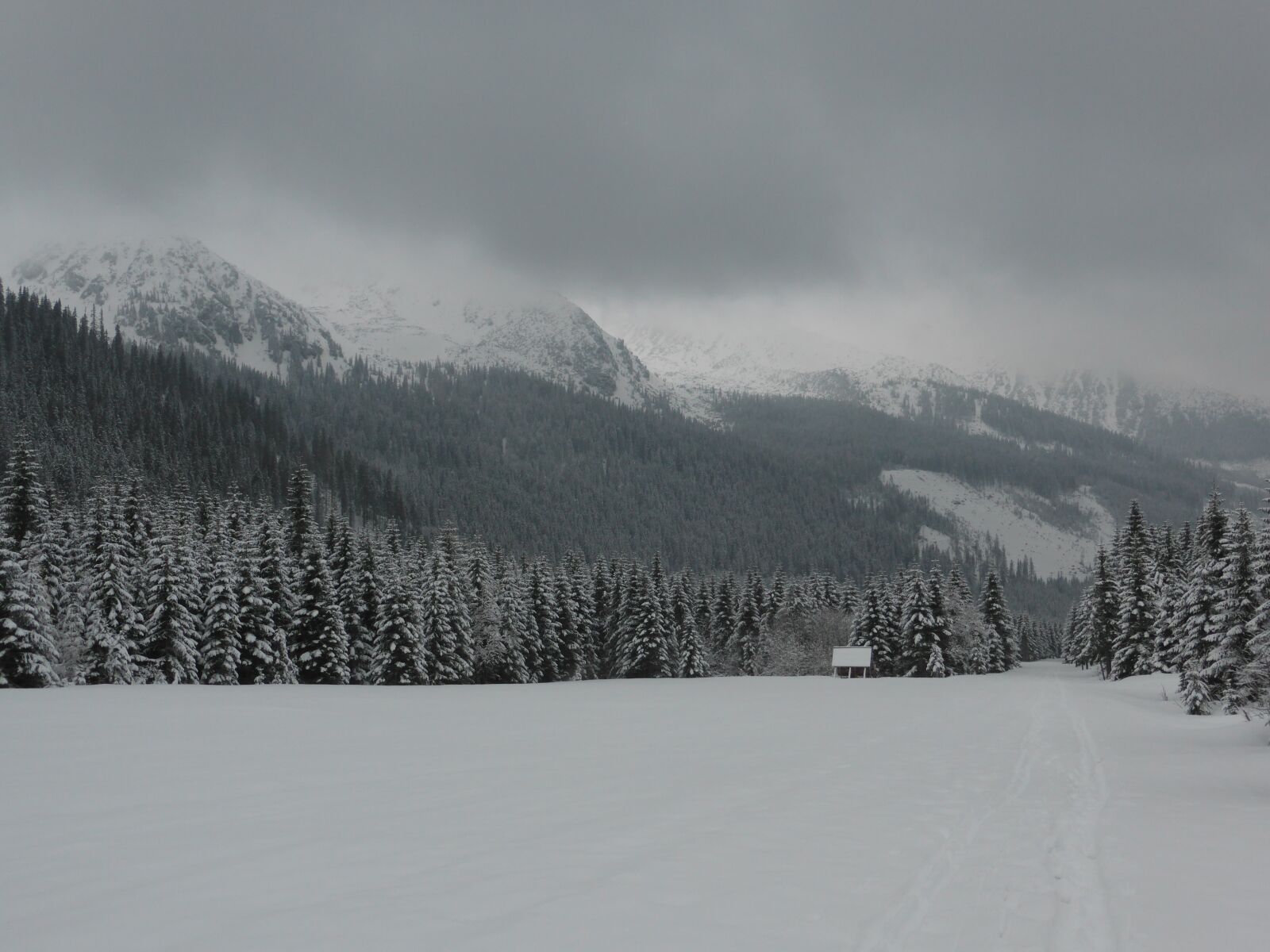Panasonic Lumix DMC-ZS30 (Lumix DMC-TZ40) sample photo. Winter, slovakia, tatry photography