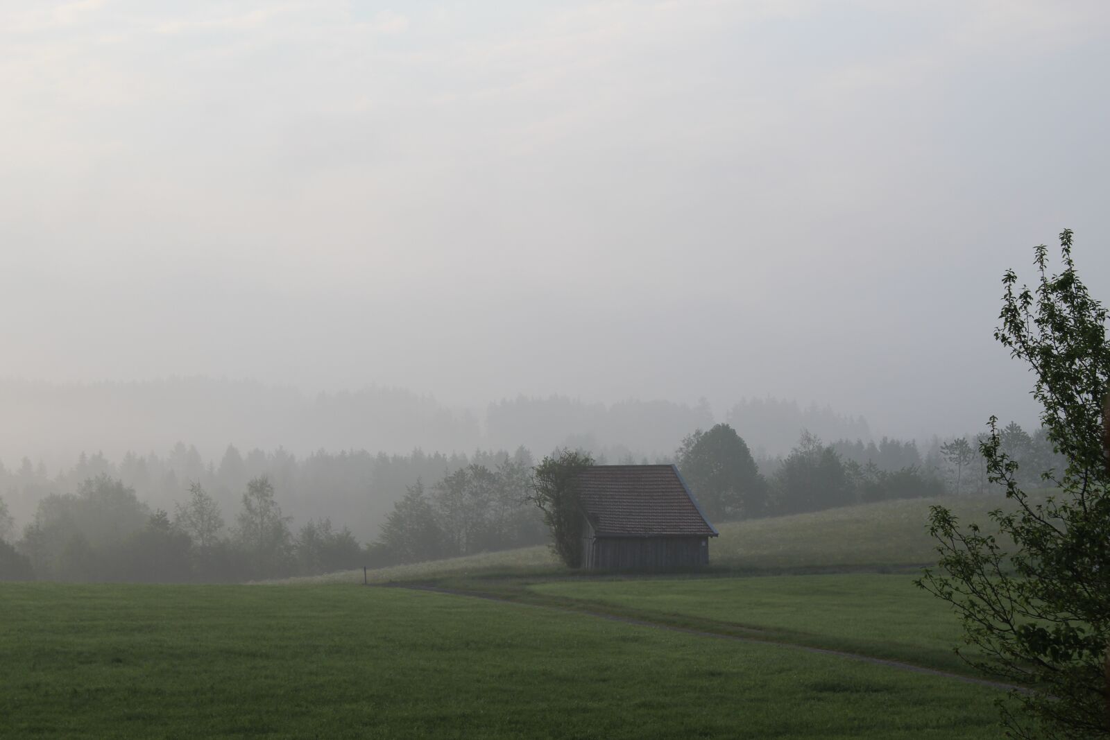 Canon EOS 1300D (EOS Rebel T6 / EOS Kiss X80) sample photo. Germany, fog, mist photography